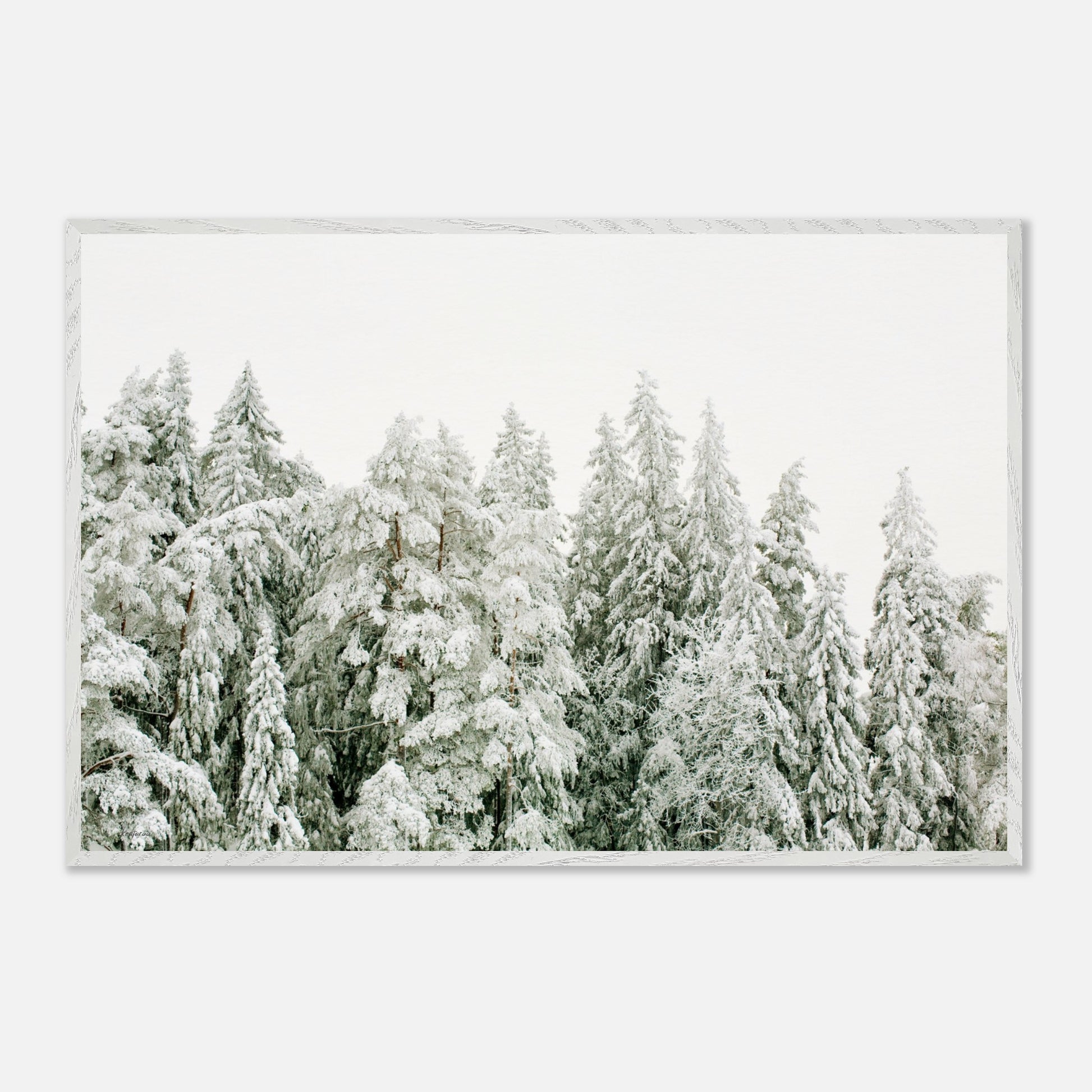 00166d0d-4a30-467c-ac04-0046c8fe7cfb