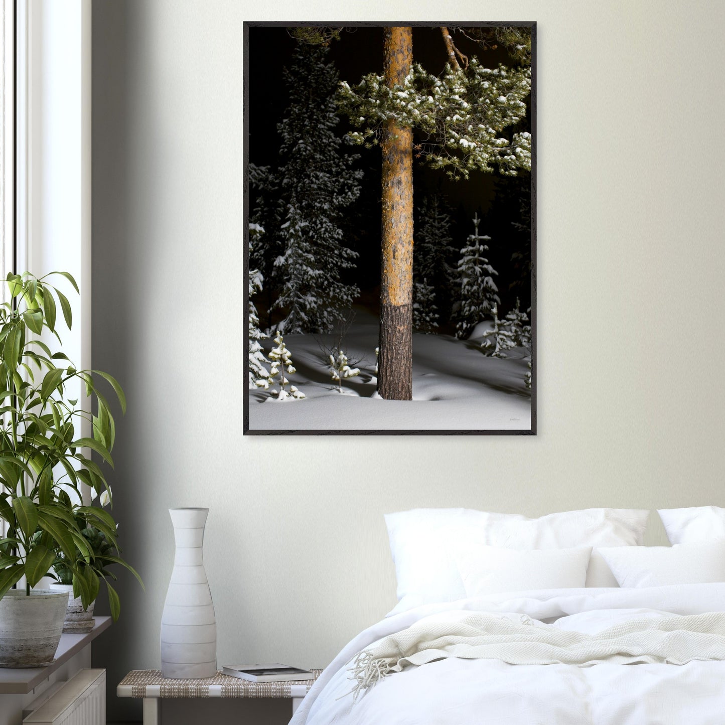 00c57985-ca78-48ff-9c61-4b776ffddeef