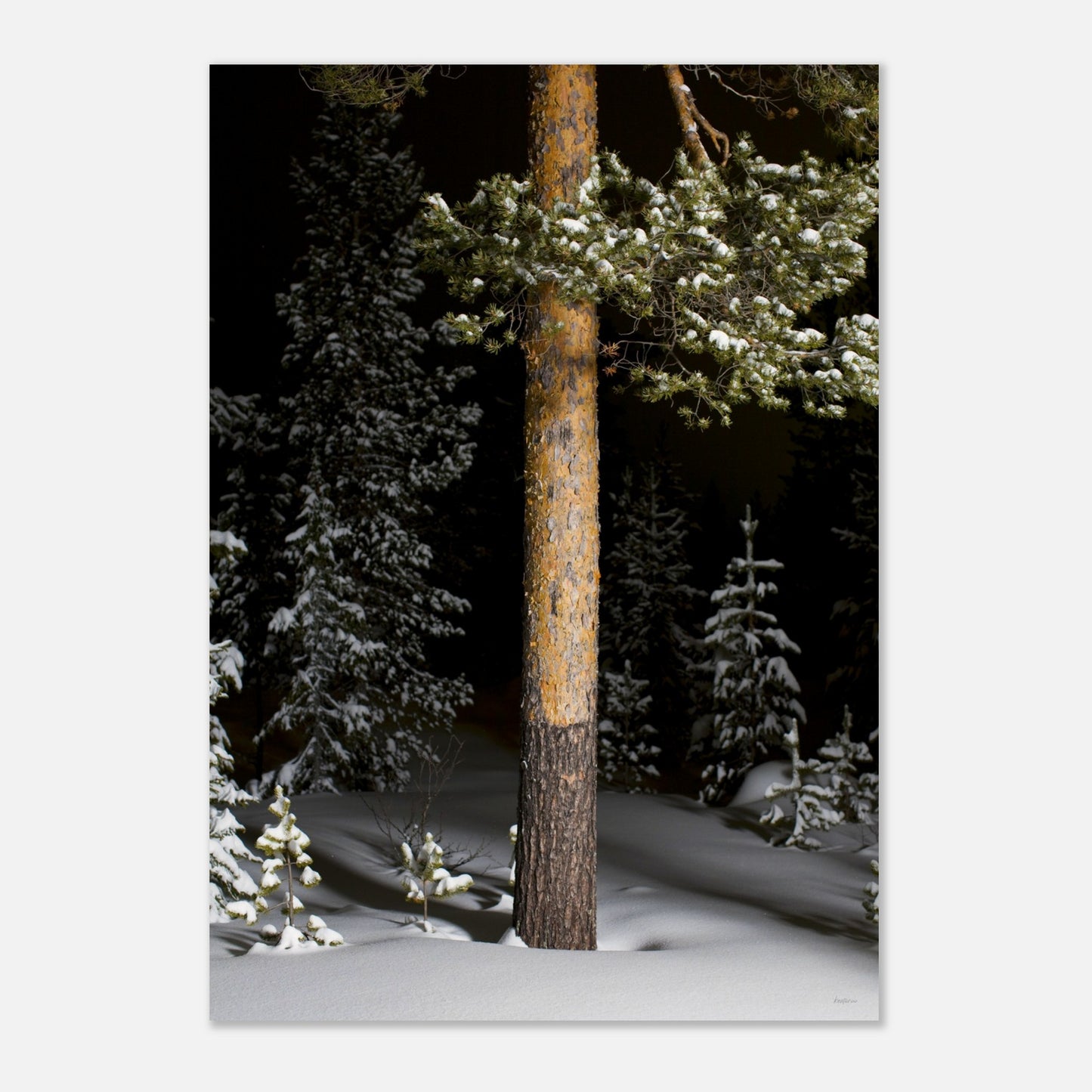 02a0bffa-7ed0-4544-82cb-fc3ea473d583