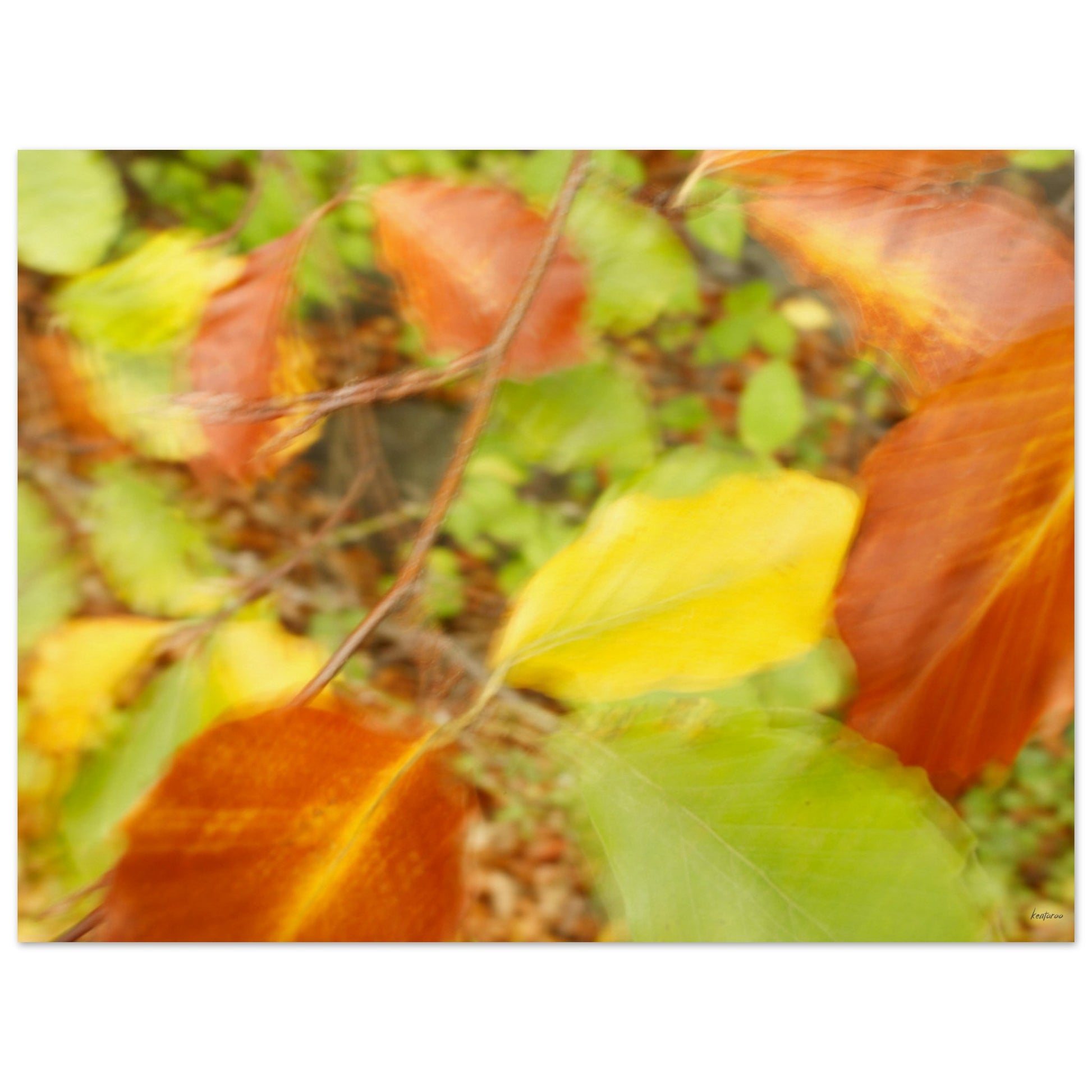 02c4fca5-44ea-4cf5-96de-d870c2ede555