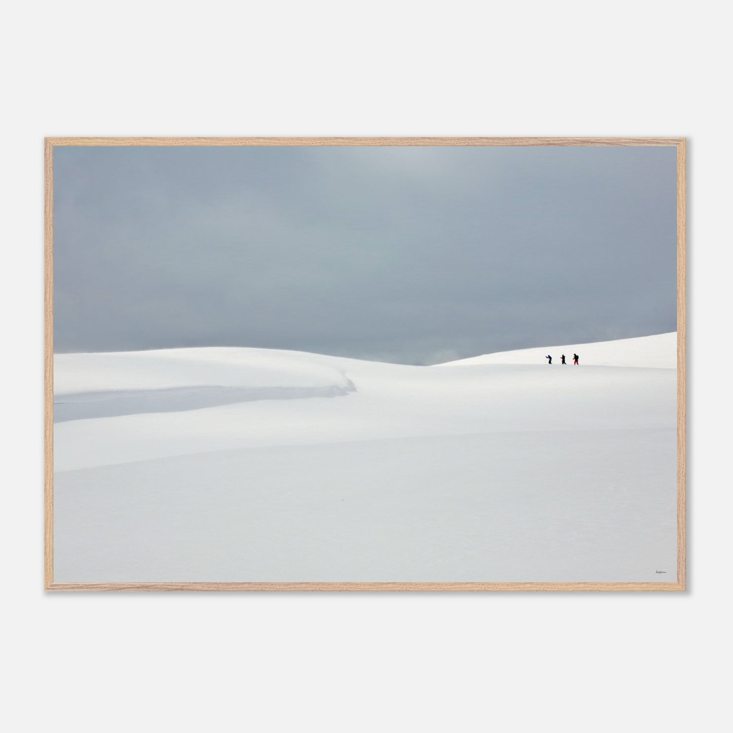 0307ade3-7f89-43d1-8fb0-ec494a4dc44a