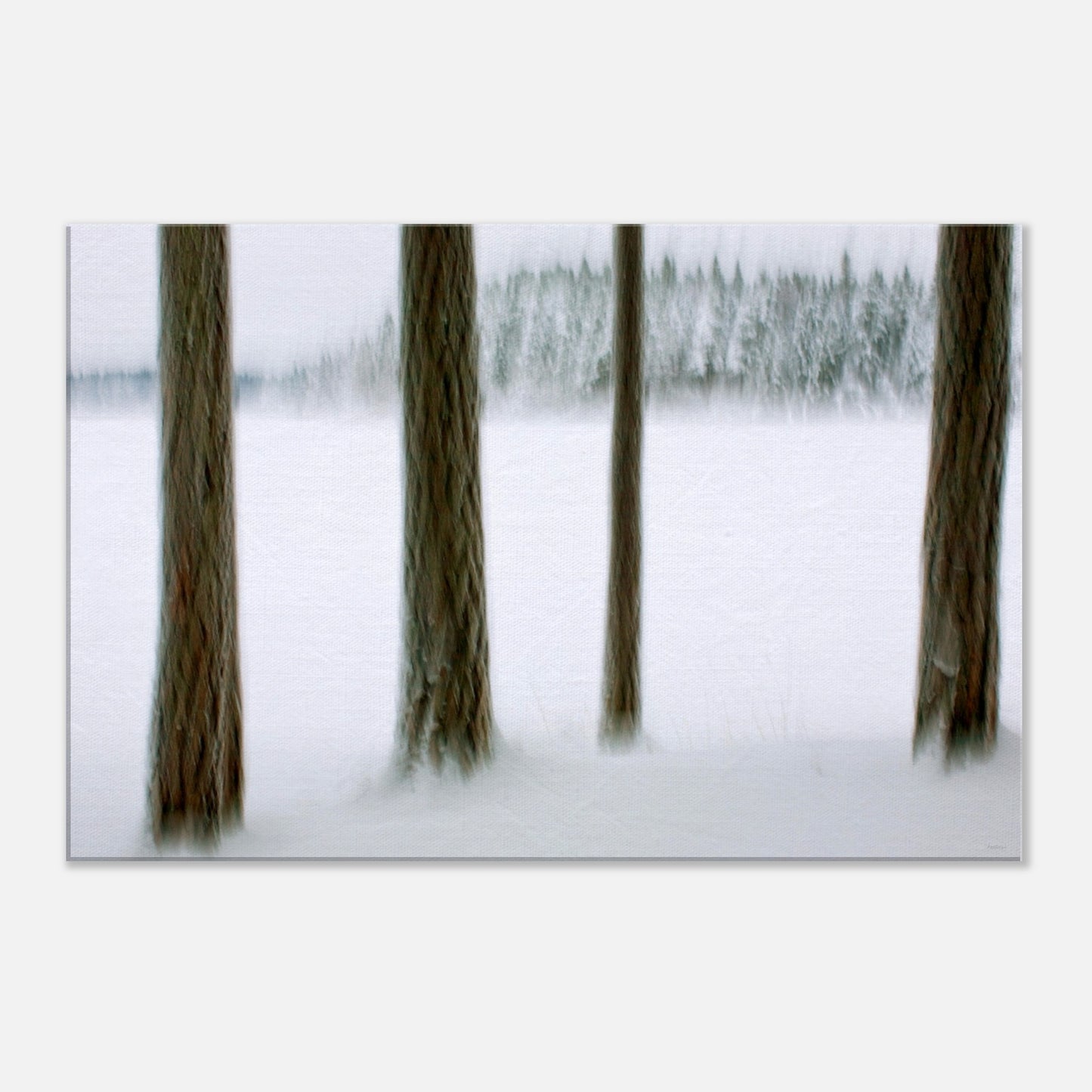 03d92282-7194-4935-b1c9-a57334ab0a8f