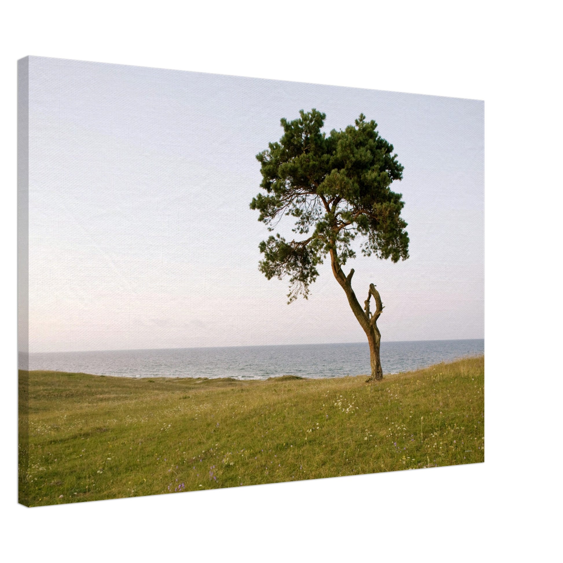 04c639f8-04a8-41af-b210-5a5ef44b715f