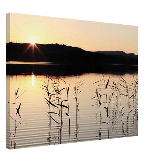 06d8eba8-07ff-4ad2-a69c-db4abfac91c4