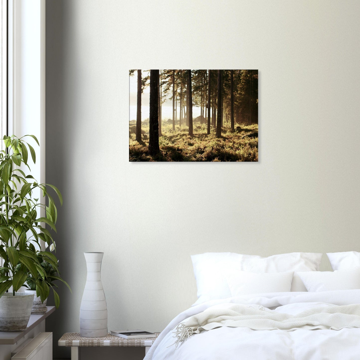 0802c196-7554-4255-977a-de9aa5b3c28f