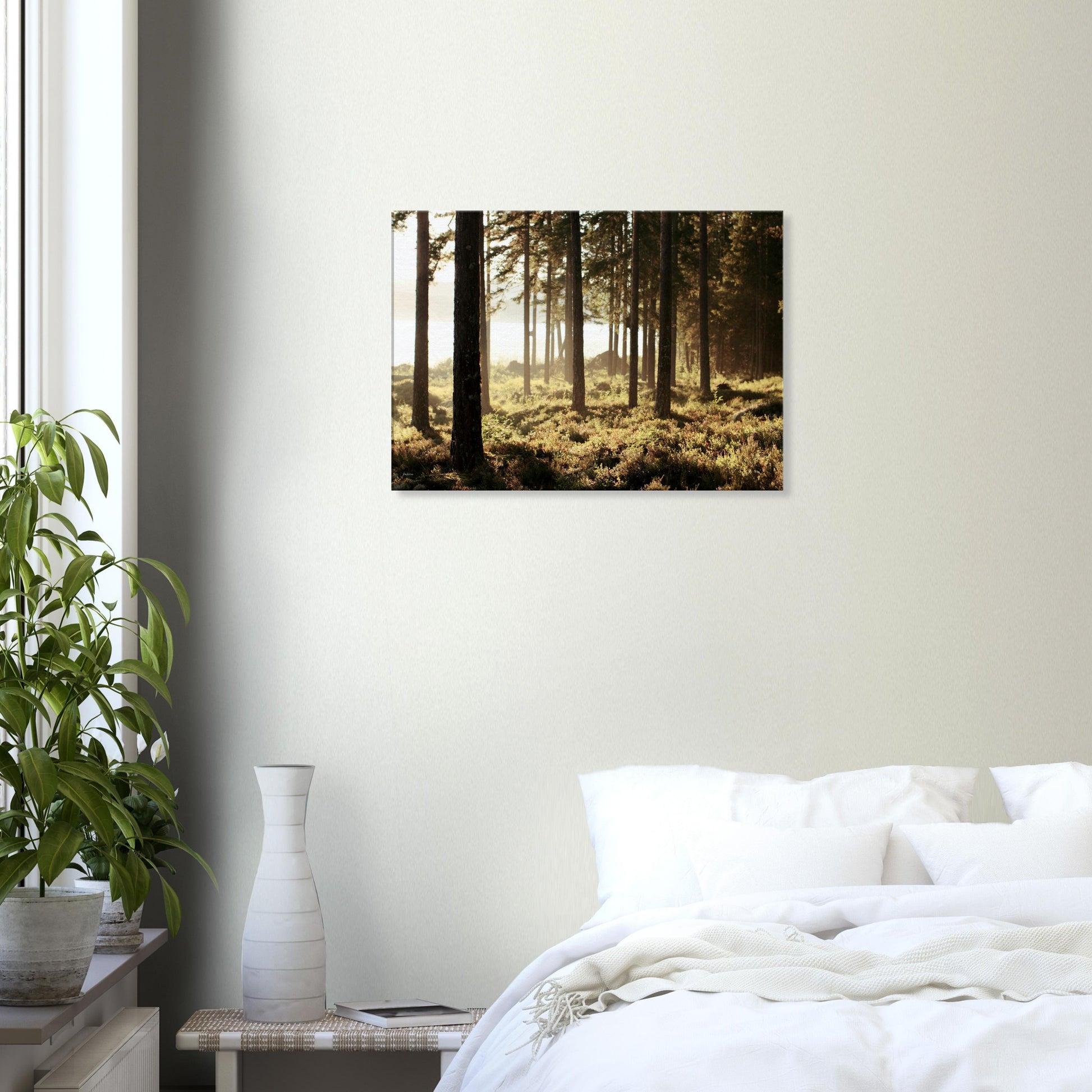 0802c196-7554-4255-977a-de9aa5b3c28f