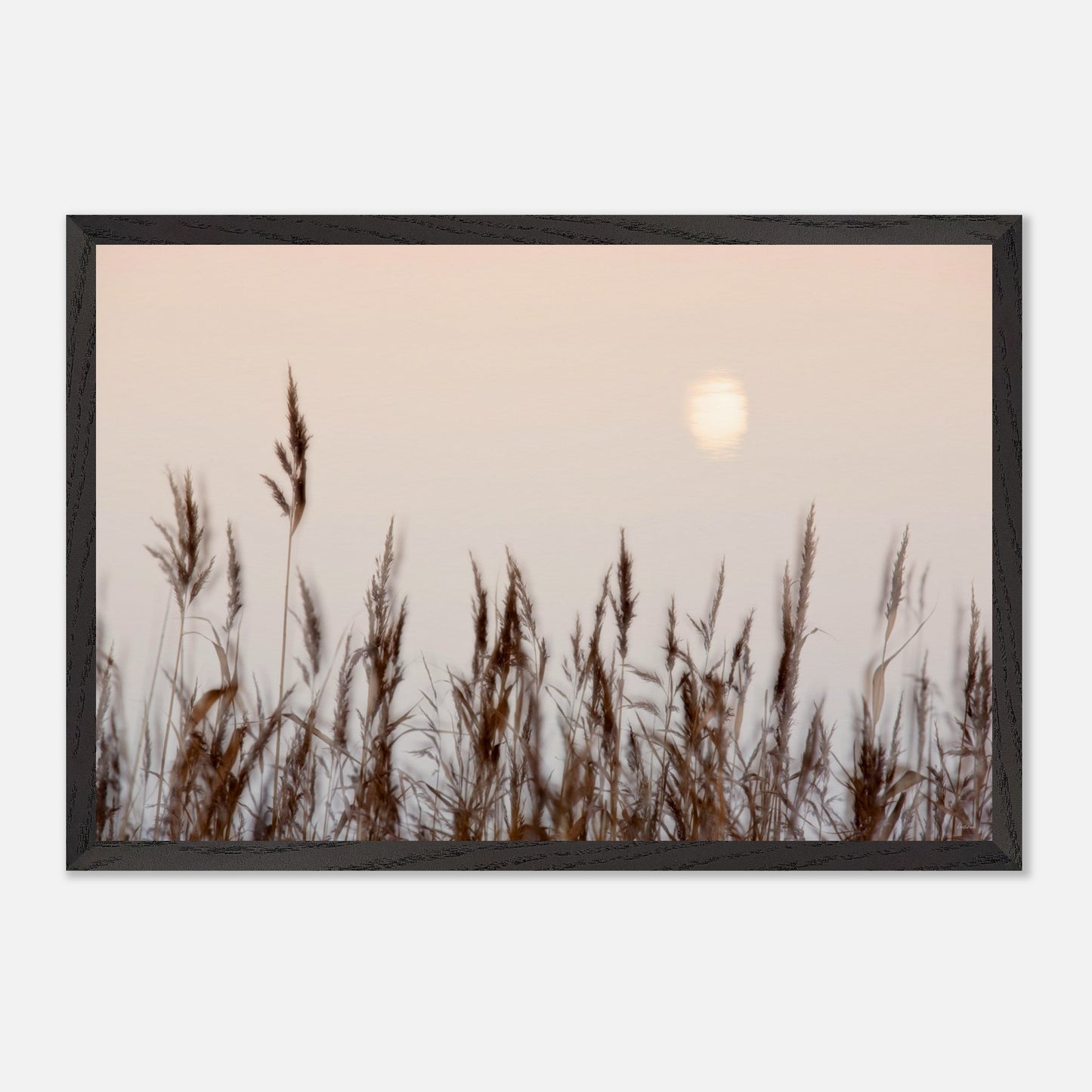 08f1637a-084a-48e5-805b-9b1b874cf536