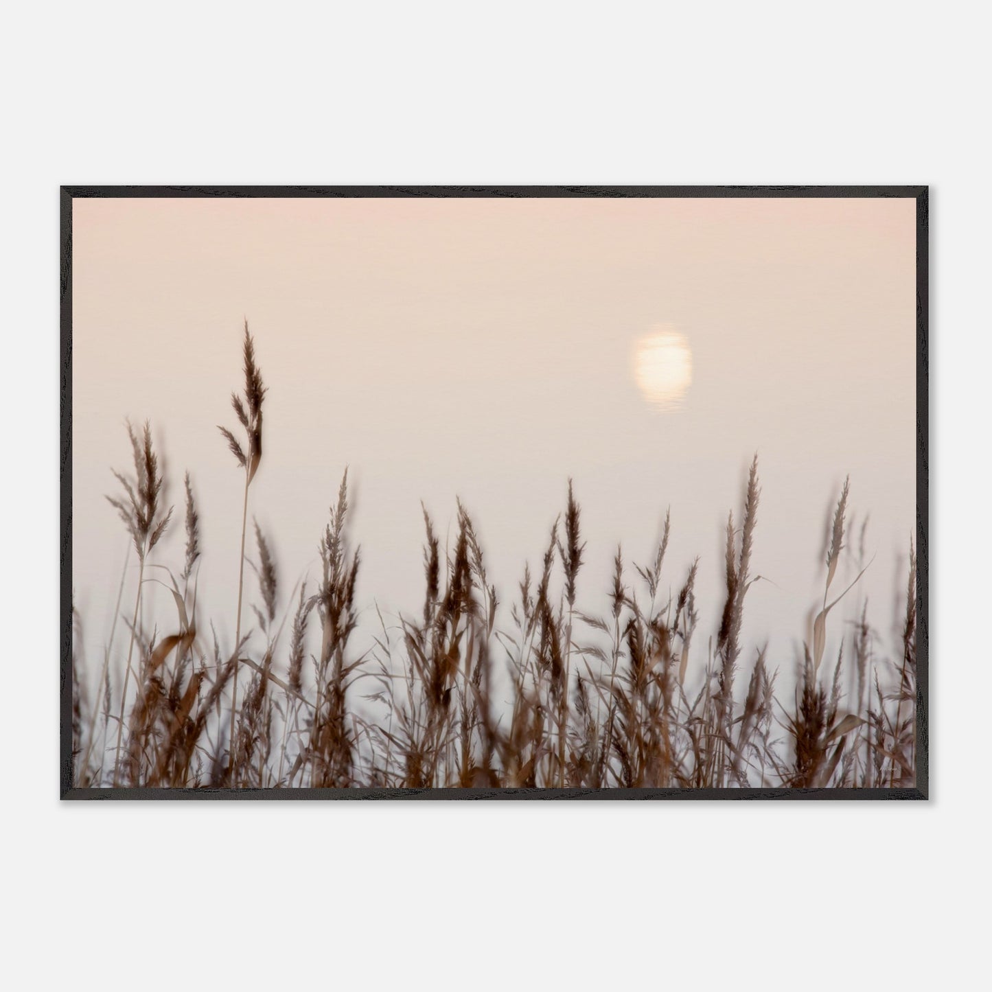 0972f2c2-ab58-4cad-aec0-3efab0cccae9