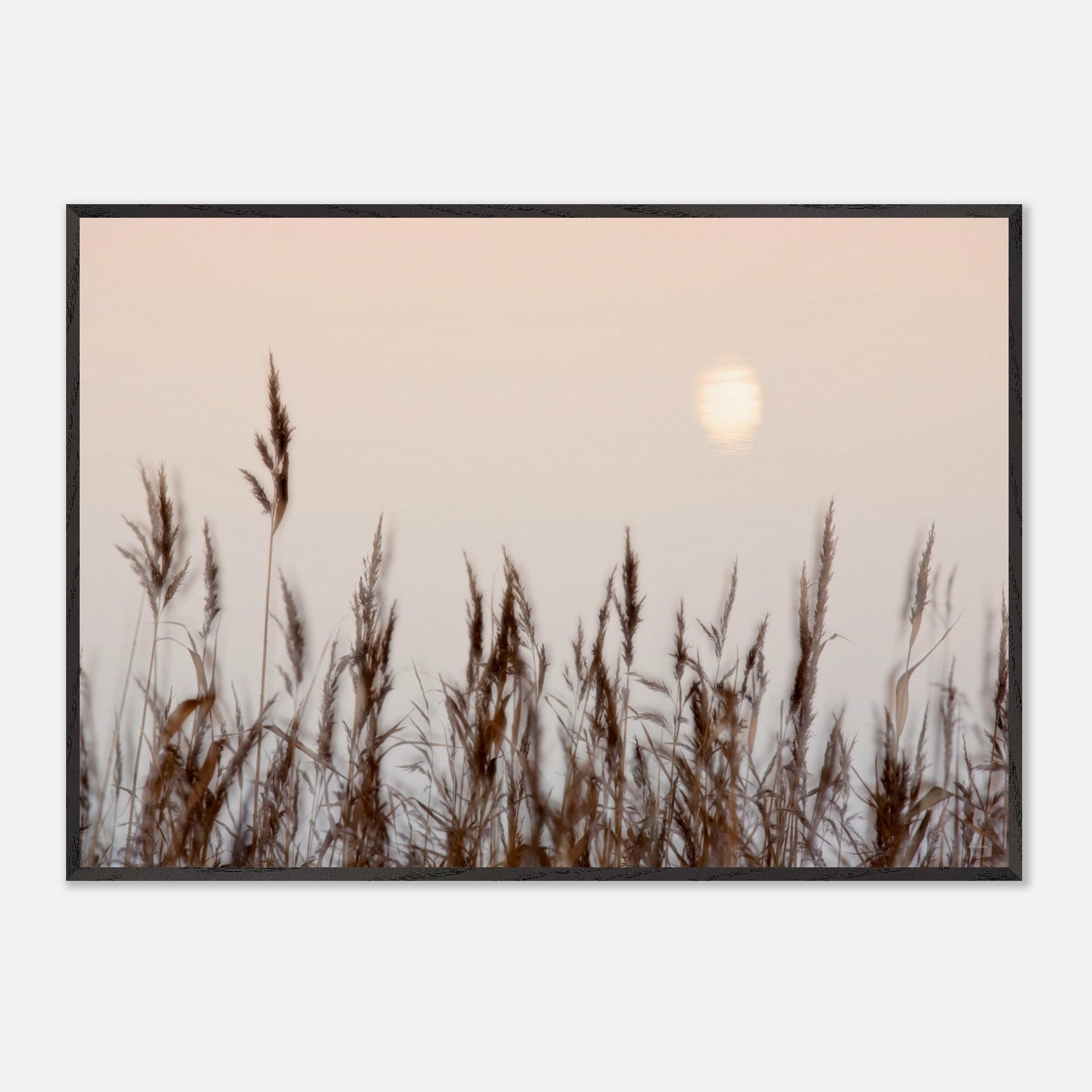 0972f2c2-ab58-4cad-aec0-3efab0cccae9