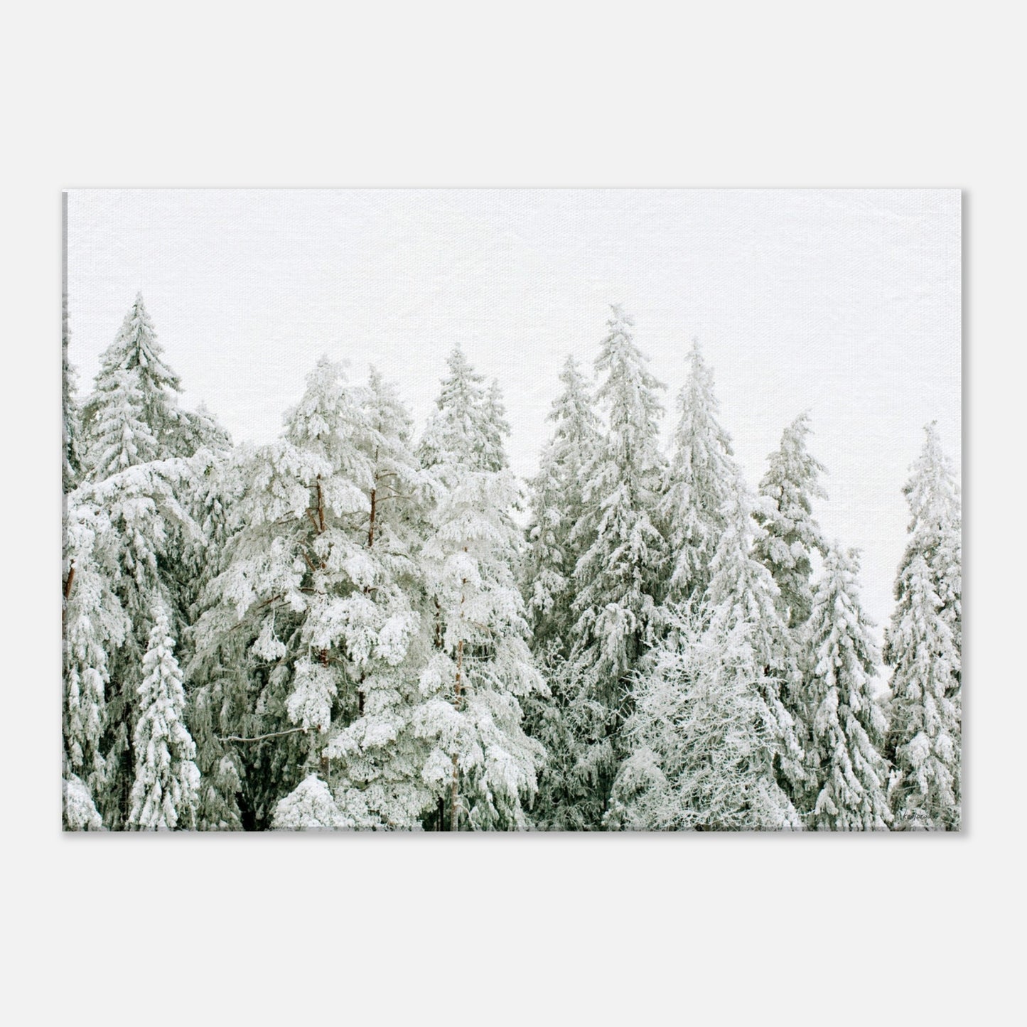 0a13252e-b682-4d21-abac-c9100236ebd3