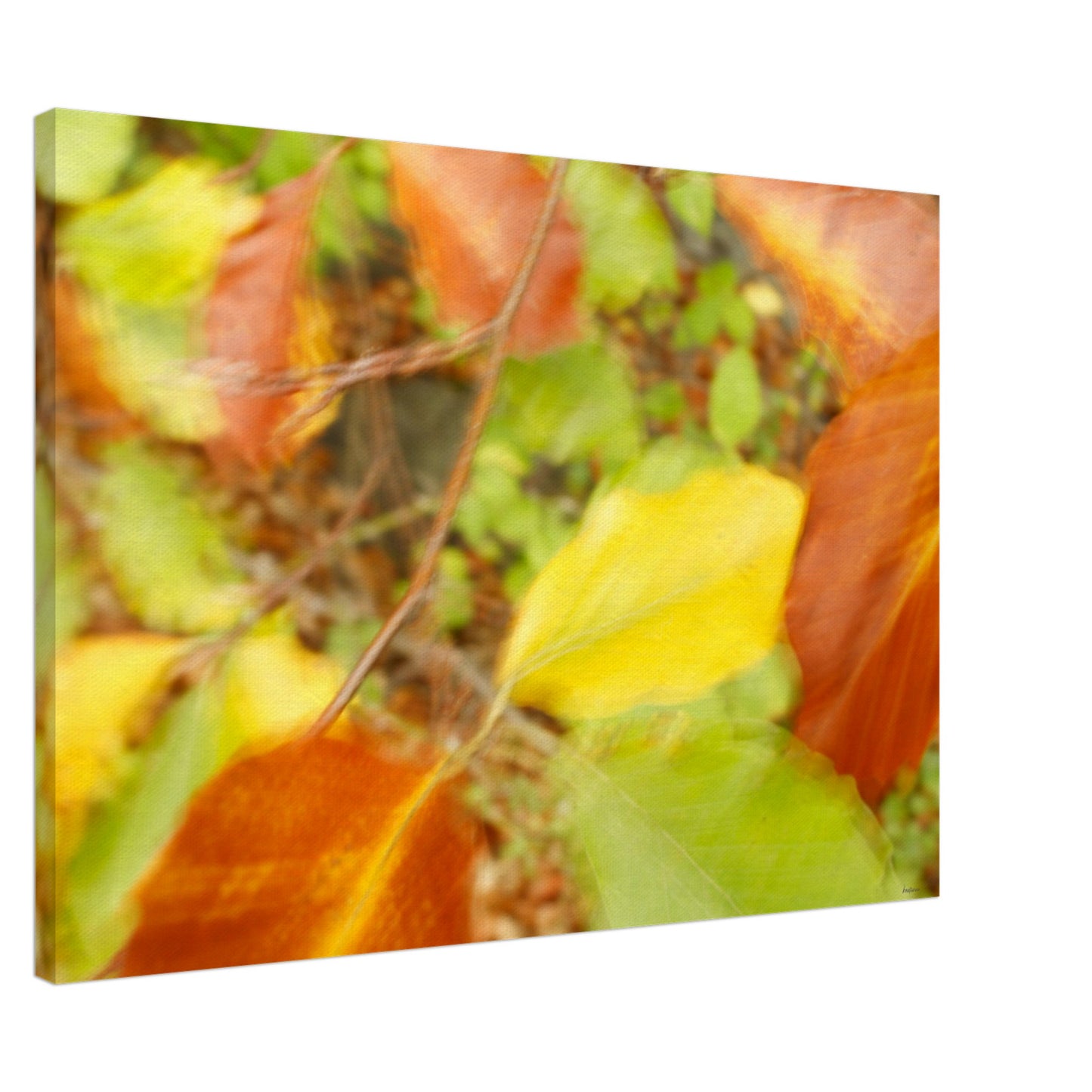 0a7c4e0f-03d9-4836-b4ad-bdc52cb7a021