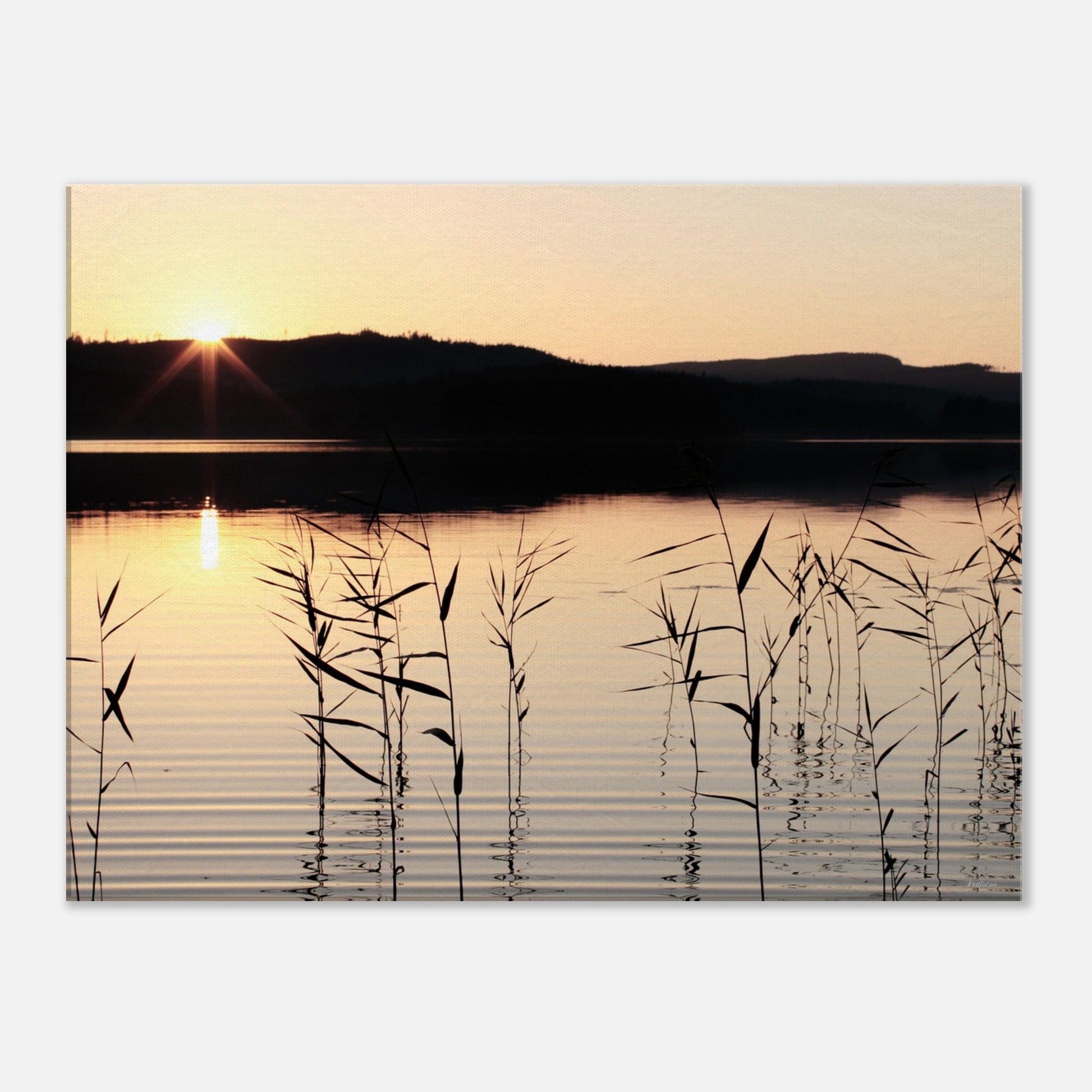 0b12c5d1-cc4e-4f44-98bb-e4a328ae78e9