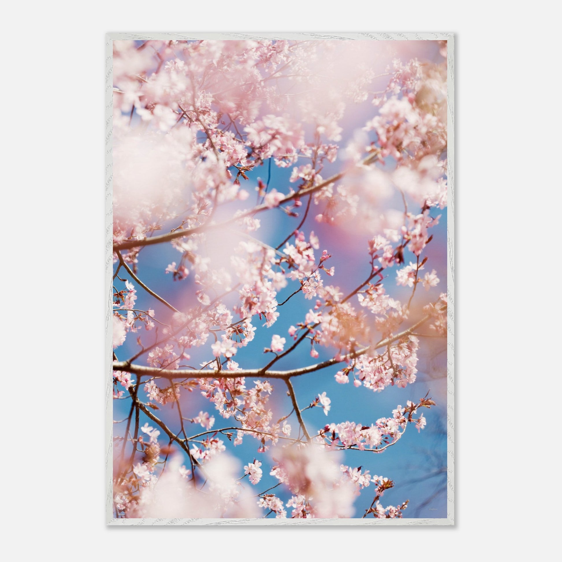 0be76888-40b4-470c-8a90-19e6bc1abbc6