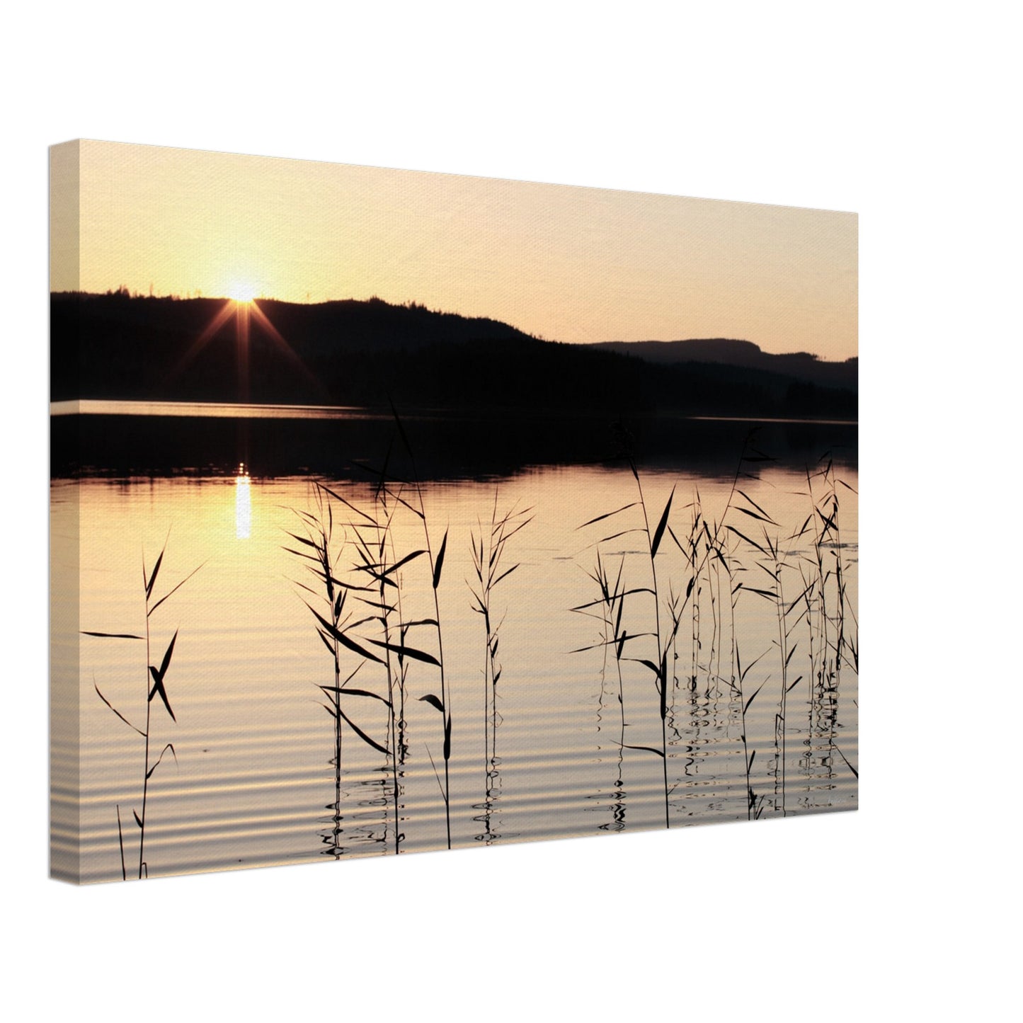 0c9fa881-e76d-4870-bb23-ccbb194be0b2