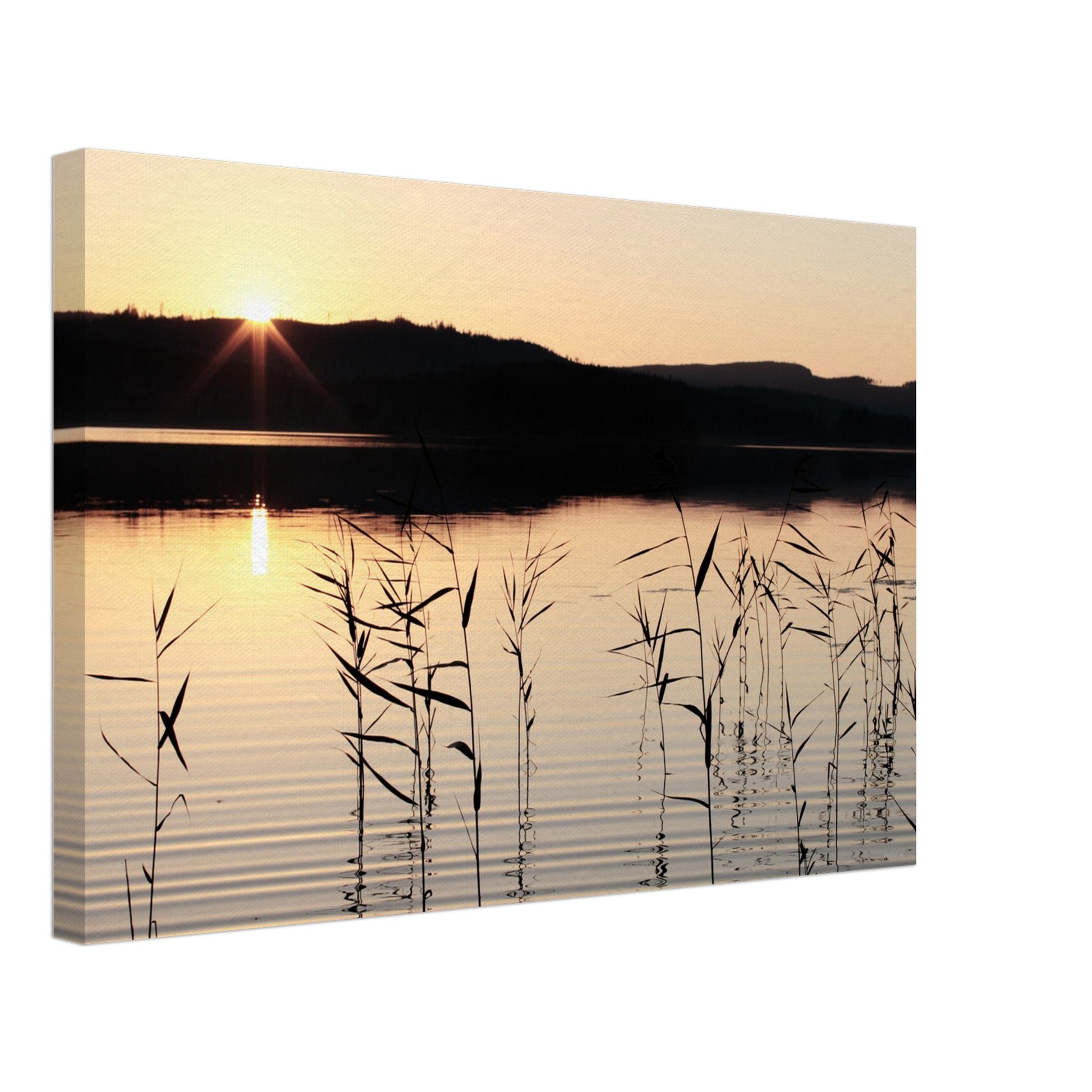 0c9fa881-e76d-4870-bb23-ccbb194be0b2