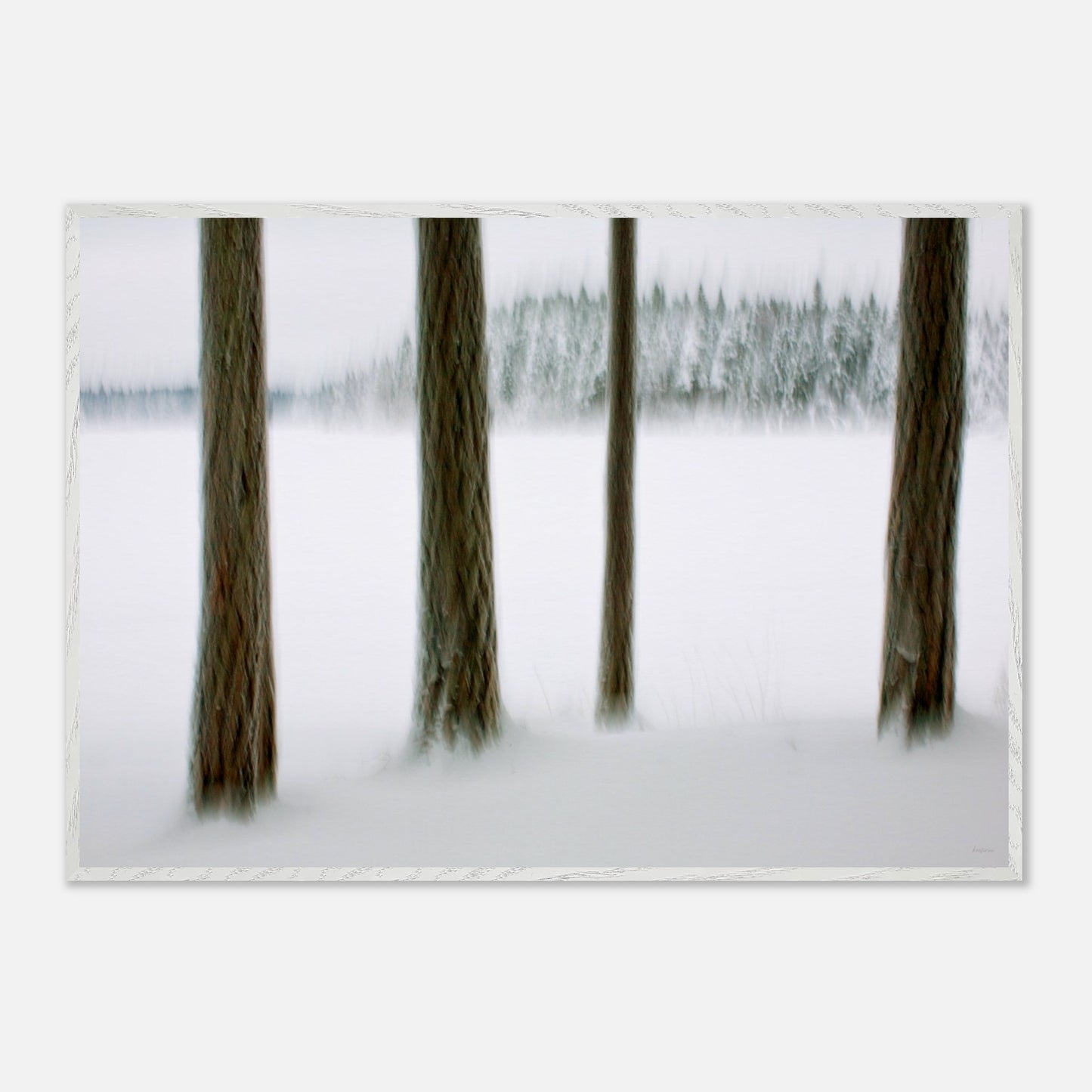 0d0ba9e6-8fcb-406b-9ad5-1f94b4785a28