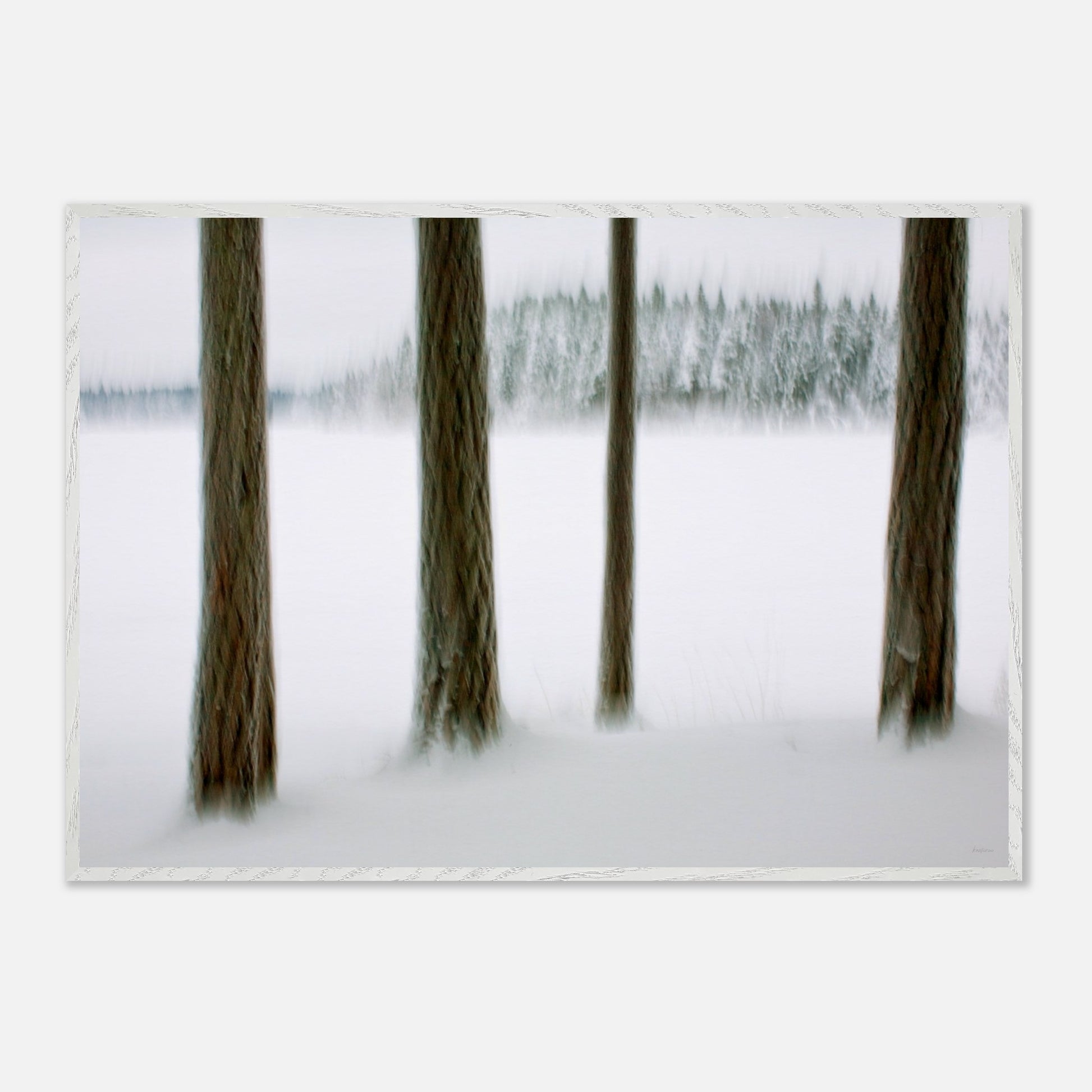 0d0ba9e6-8fcb-406b-9ad5-1f94b4785a28