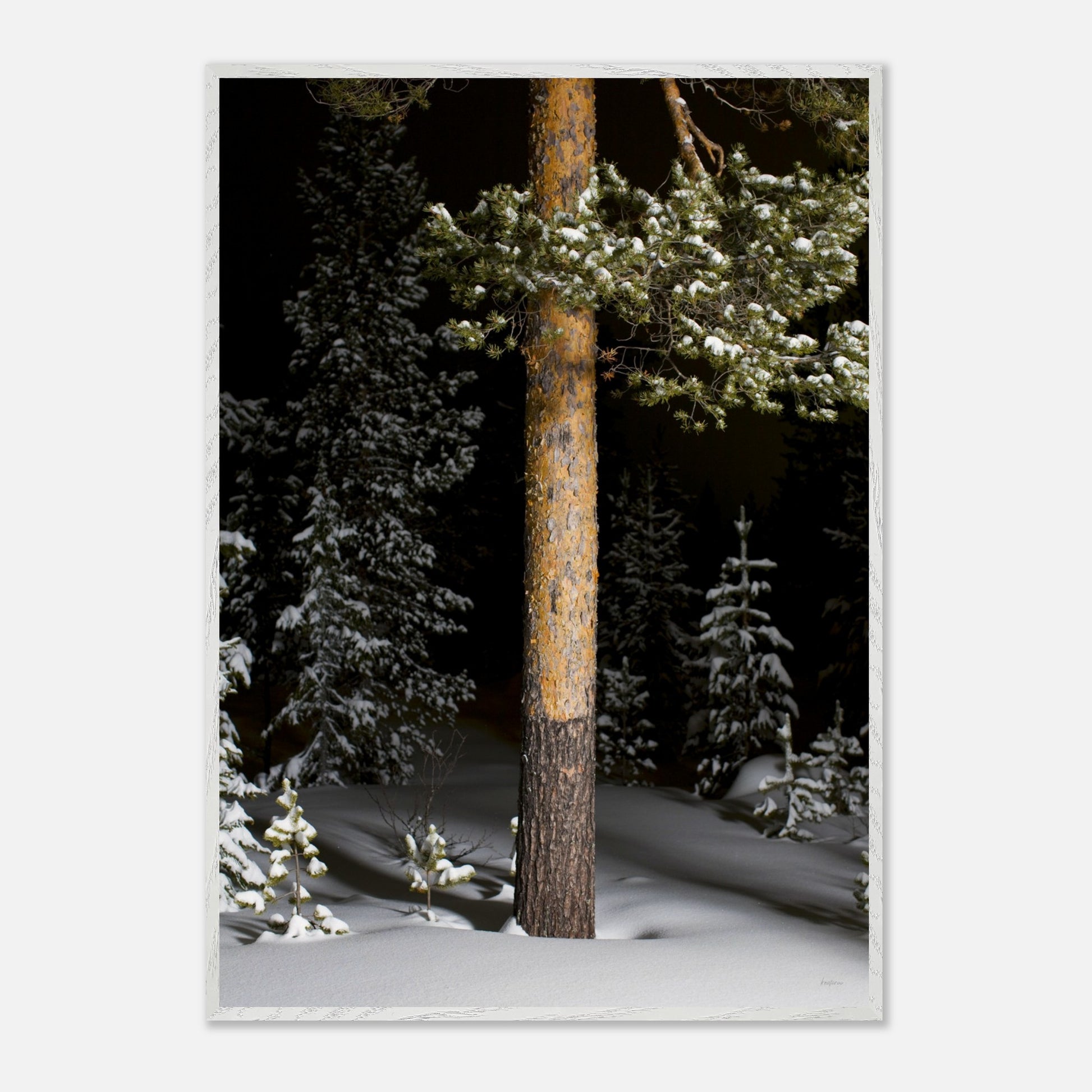 0d1af09d-a2a2-431b-9abe-2dedf5291e85