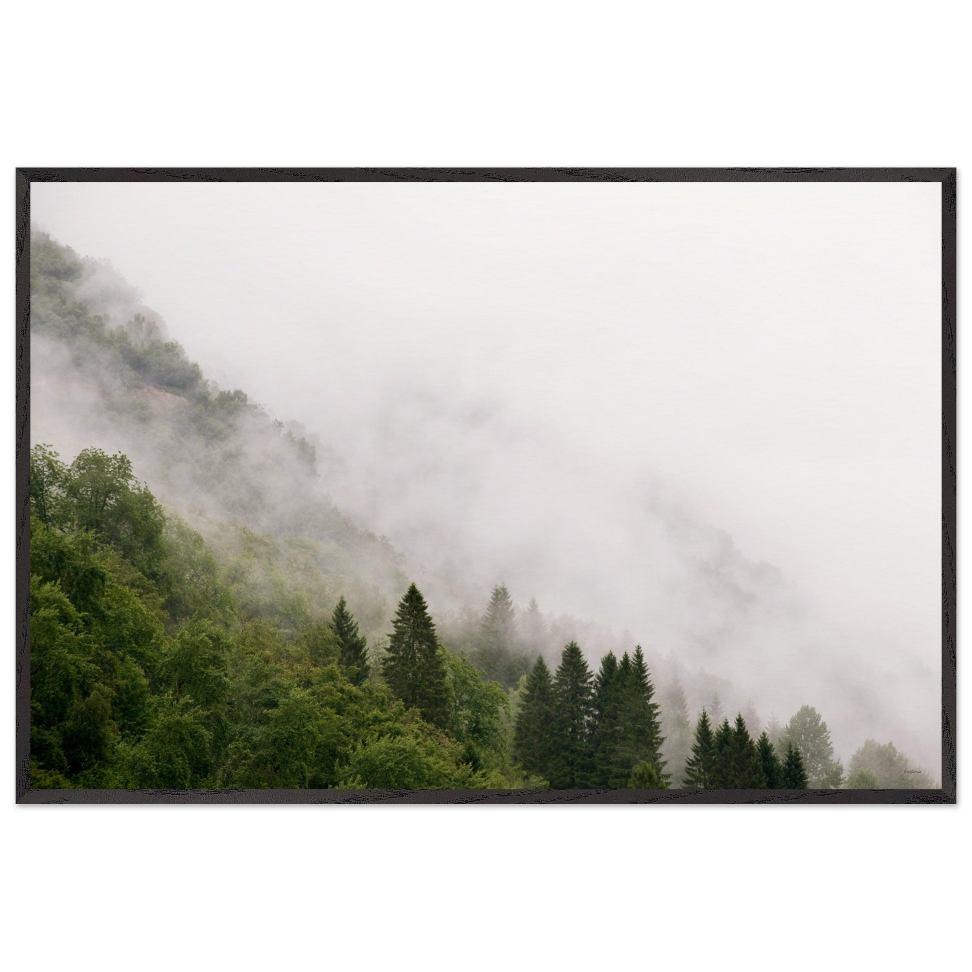 0e978399-55f2-446e-8e75-6c8e344d4341