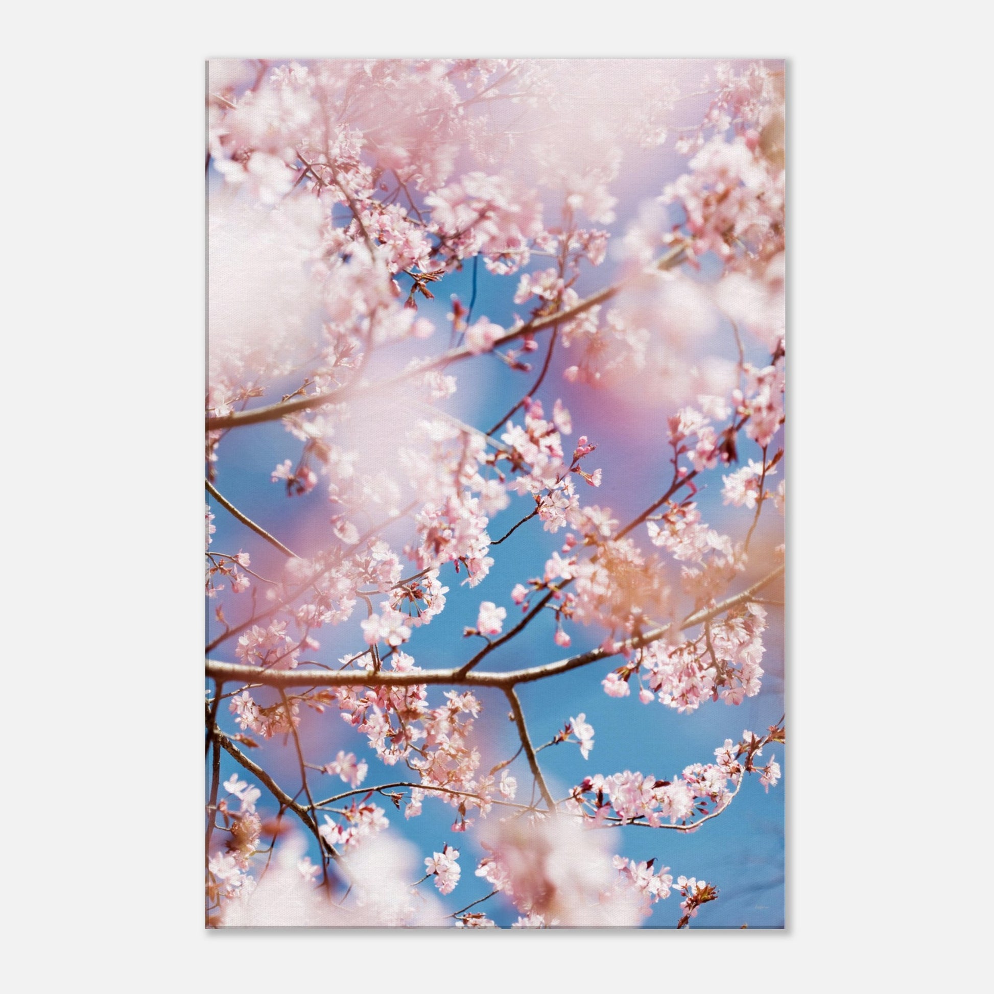 0f074642-a014-4b96-bfe5-2fe564dd0bd9