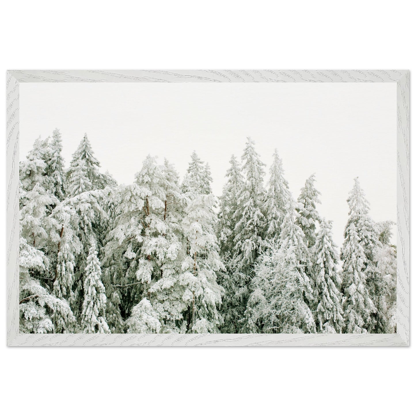 0f7d7e8a-548d-4a55-ab32-0e382ae848cc