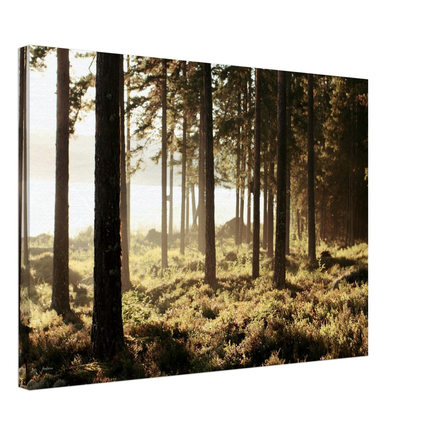 0fa0582c-0fb7-4eef-ac08-69f1ab0a2282