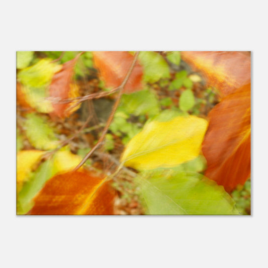 10b6e1a3-4110-48de-97b8-e06e7a3e7941