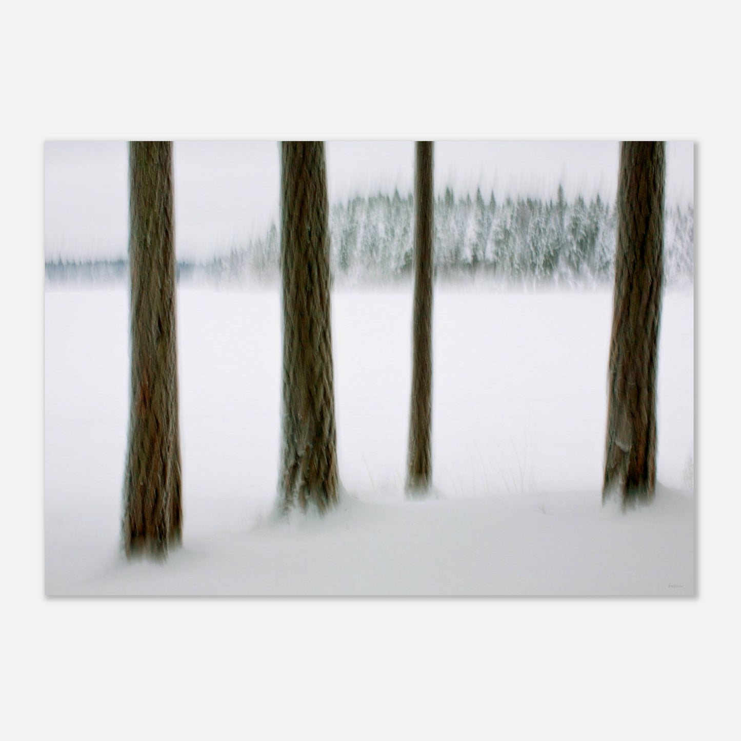 114bb9c0-0184-4b1b-b8f7-555ef2594503