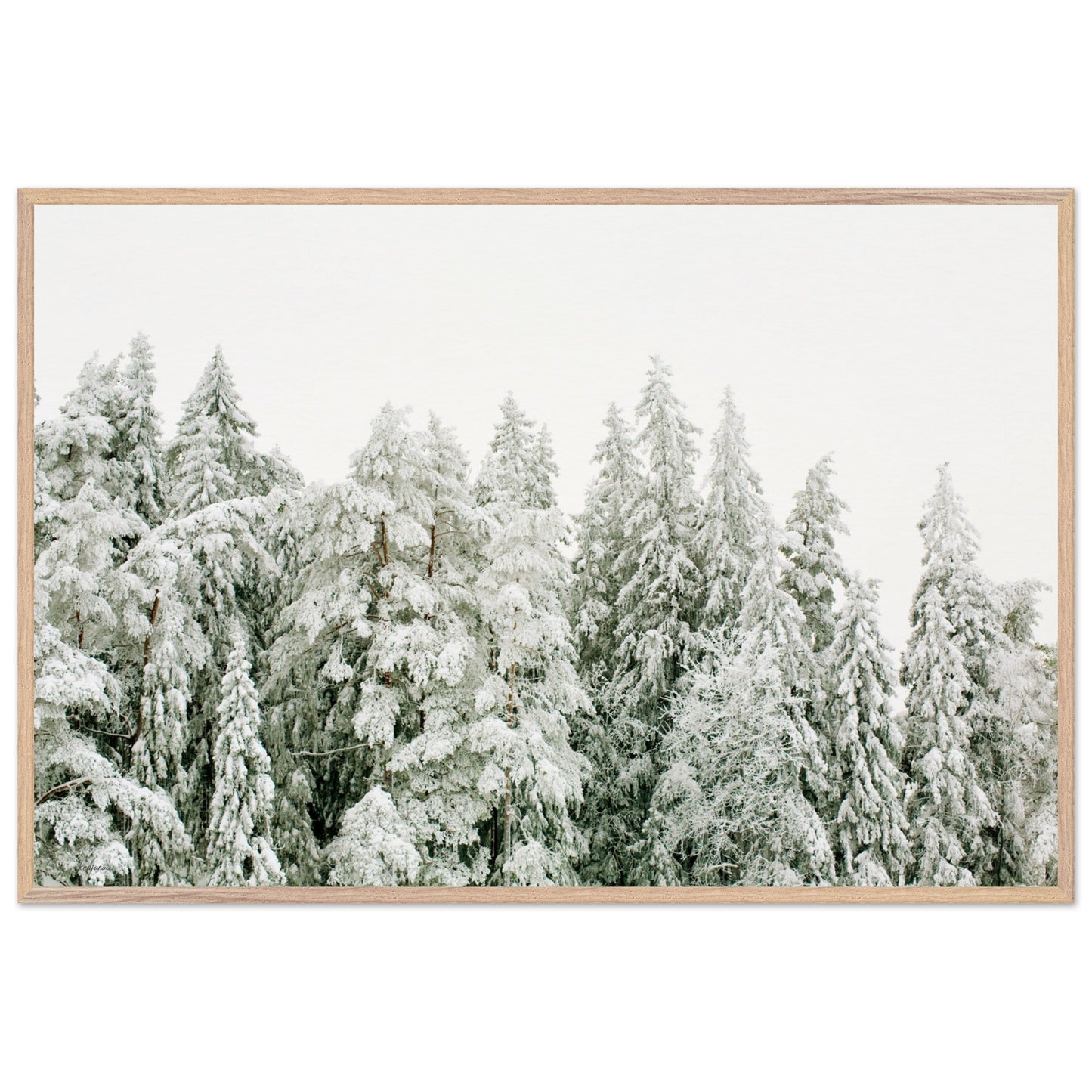 123b3f69-d6c7-4847-bda6-cbcabc2ccf0b