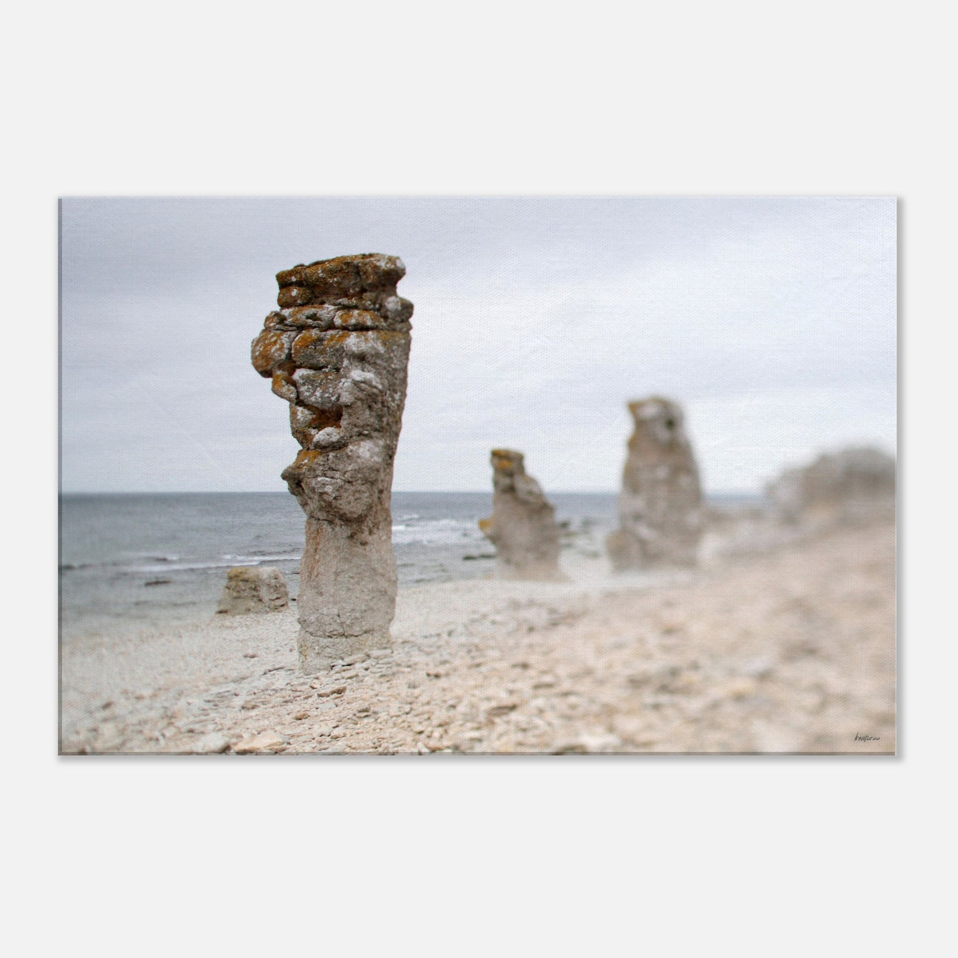 13e8b20a-3dd3-416f-b99e-17d00de845d6