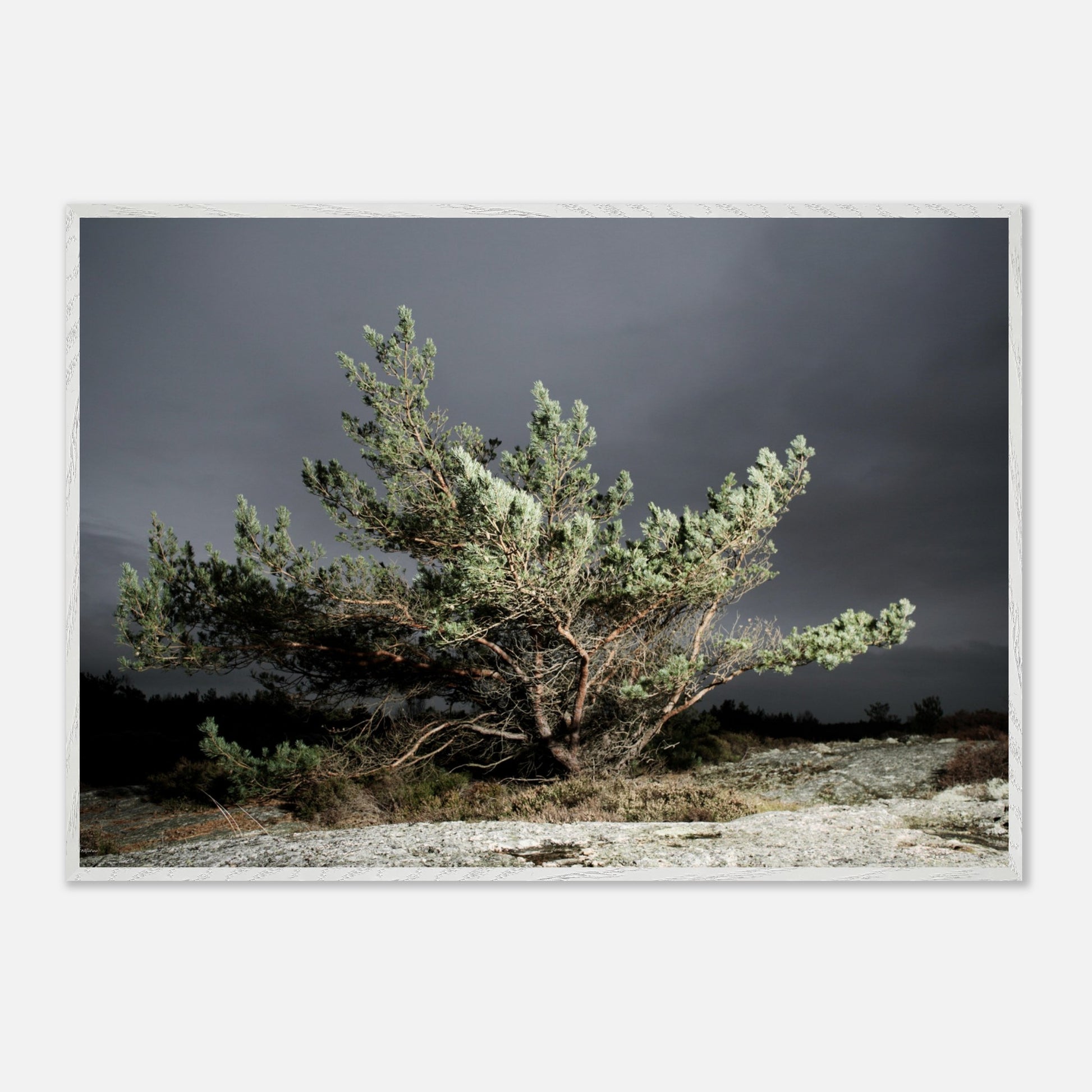 165354bc-11a1-4719-8876-7cbde765139e