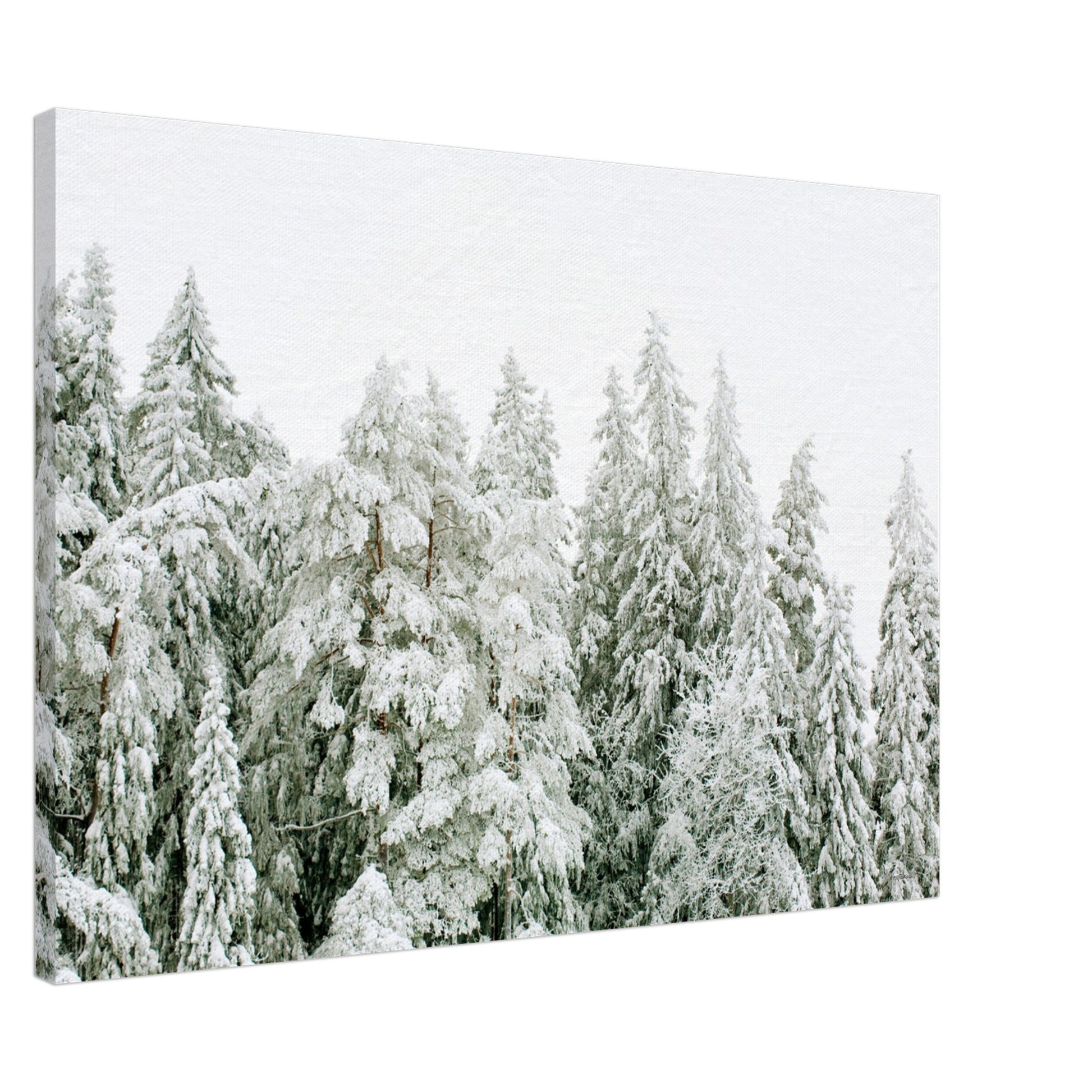 16aa5419-a1eb-49e2-9b77-d304f78bb9e4