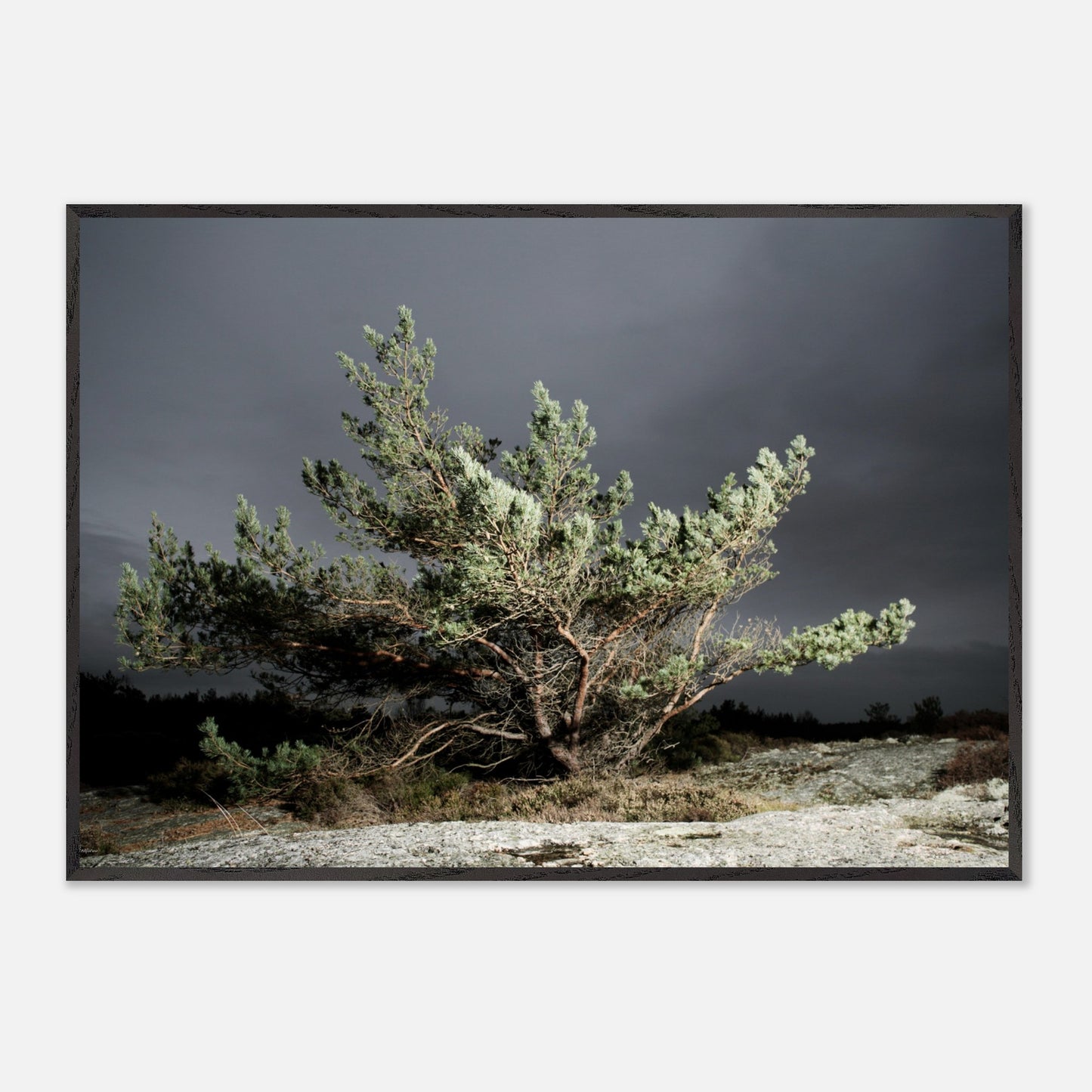 17b0c870-e98c-4cb8-b21c-02cd538132ab