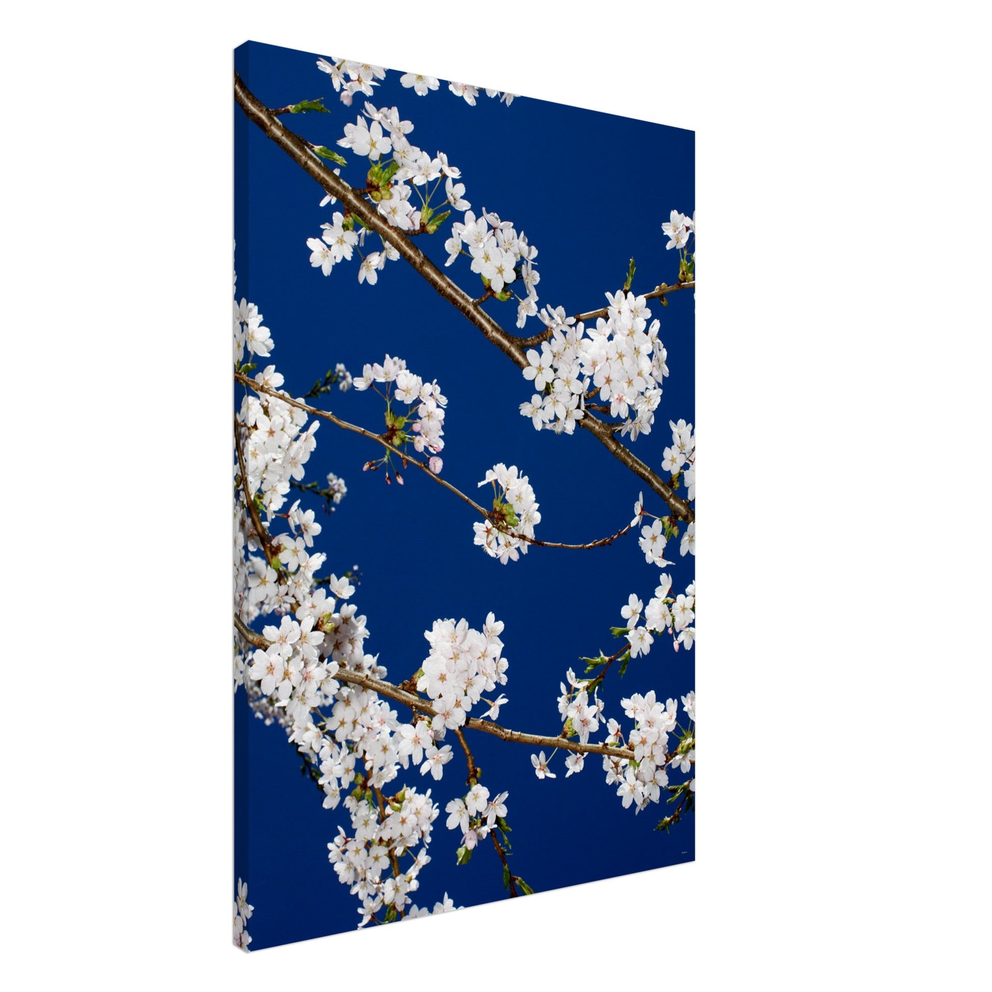 18aa3810-235c-4a18-b40e-ea0eefb18ab1