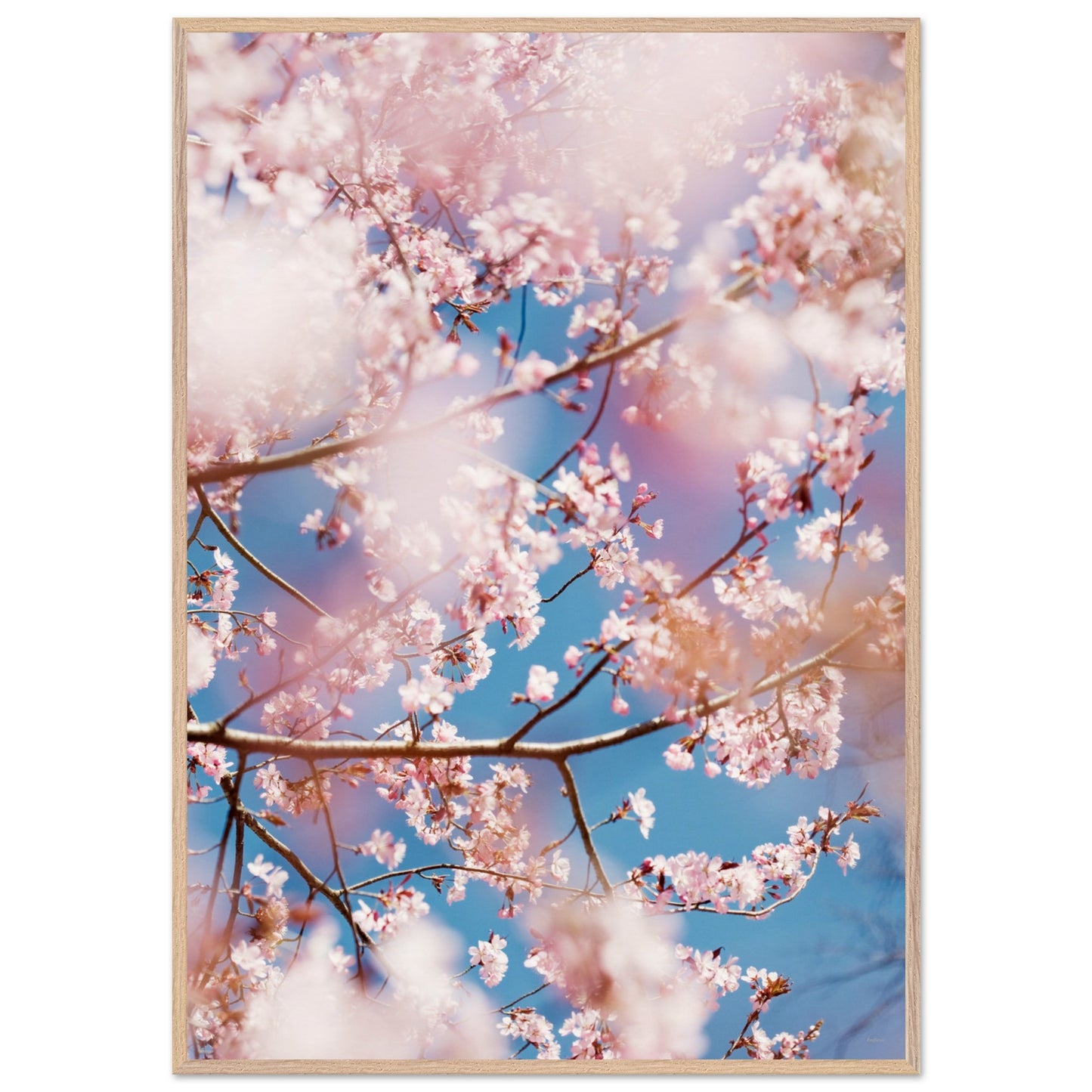 19007b5f-96bc-4858-b80d-c15f320fc55b