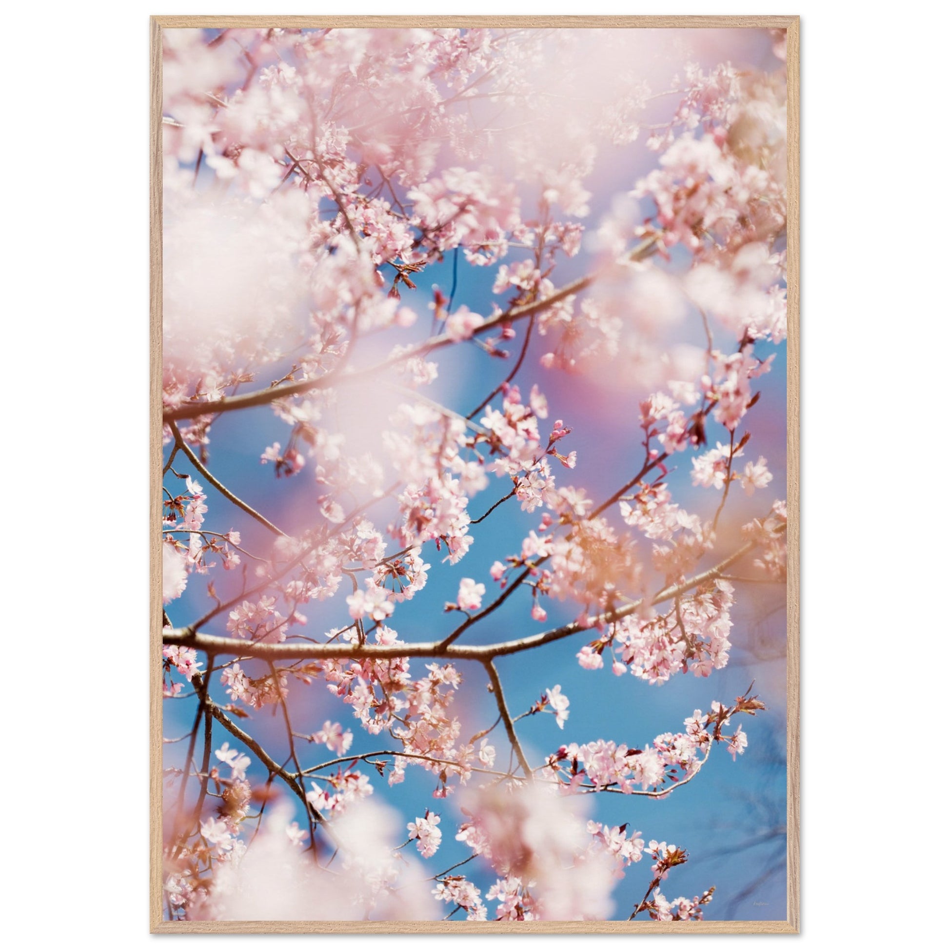 19007b5f-96bc-4858-b80d-c15f320fc55b