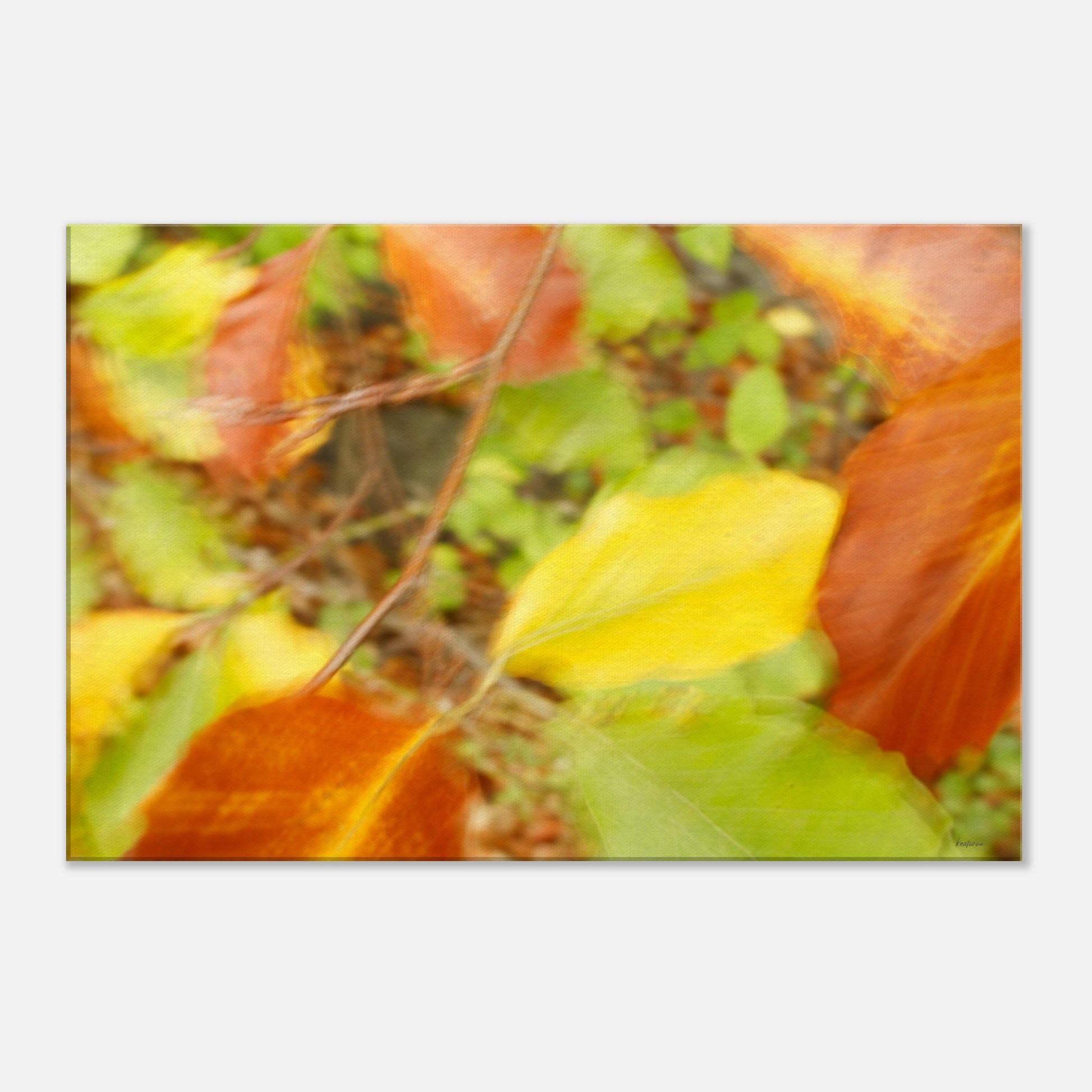 1954cbe1-15f0-4515-b50c-a20fbbecd6d2