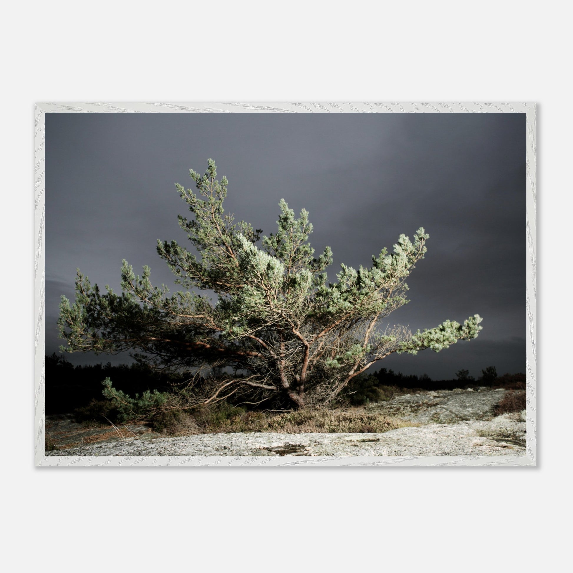 1992ed24-1106-4d4e-85d4-f21d93086b66