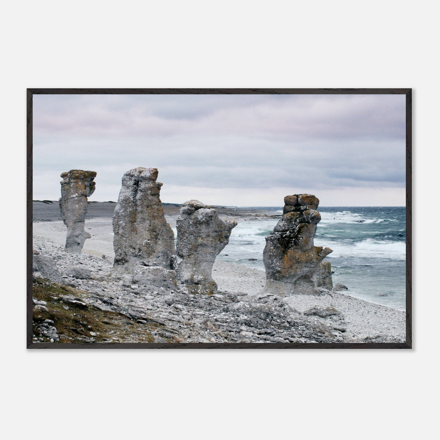 1b4ea69e-92b9-4767-8804-a37b37a30210