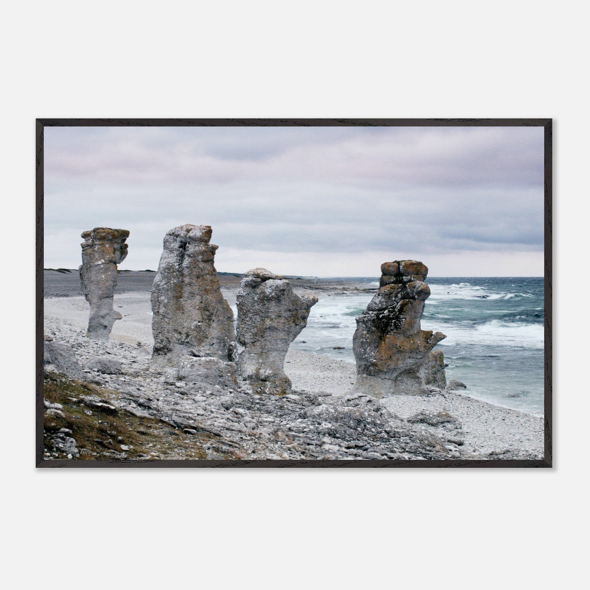 1b4ea69e-92b9-4767-8804-a37b37a30210