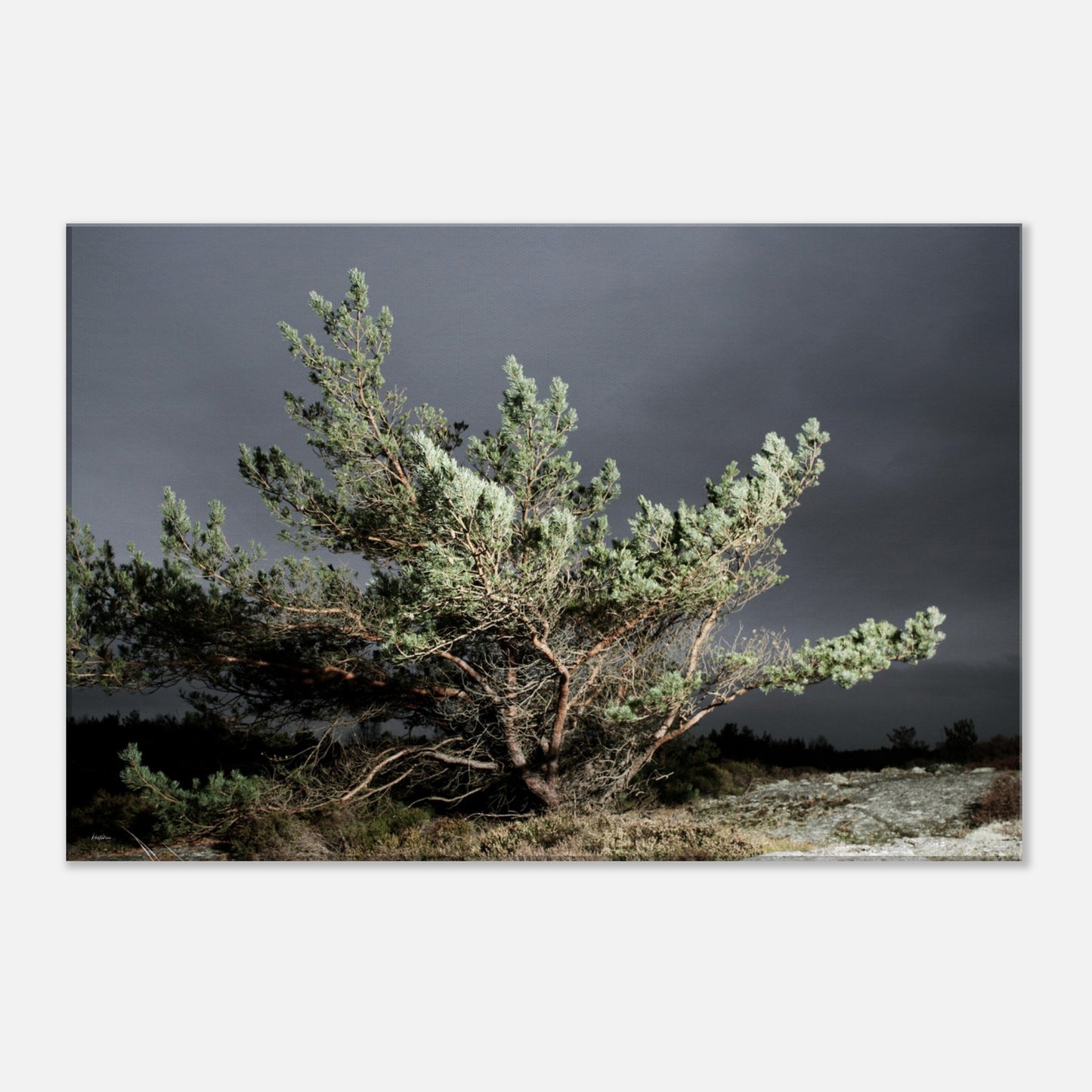 1bbc9912-a067-4328-9fae-d941d7fa17f8