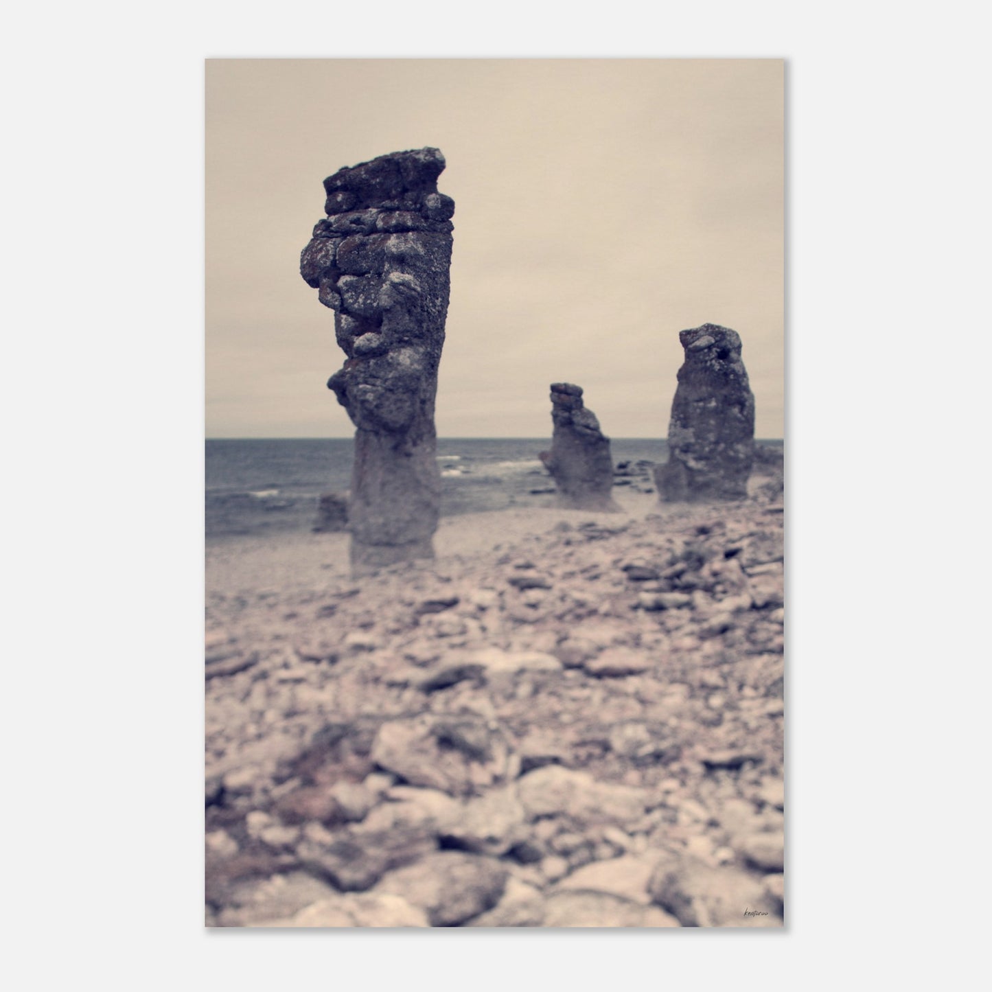 1c1b3564-836d-476f-be0a-d3d832deea88