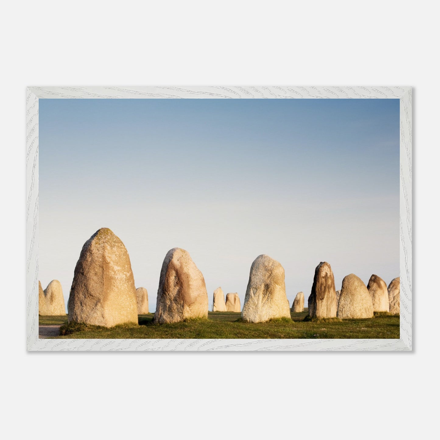 1cf9869d-3058-40bf-803e-8f10bfe69fc7