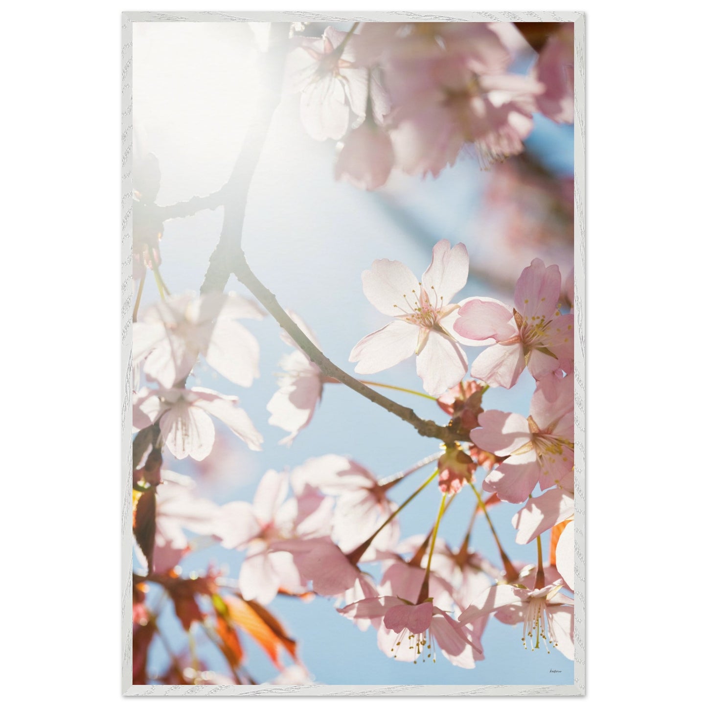 1d4ec031-76be-4295-b2b7-5aad54491de5