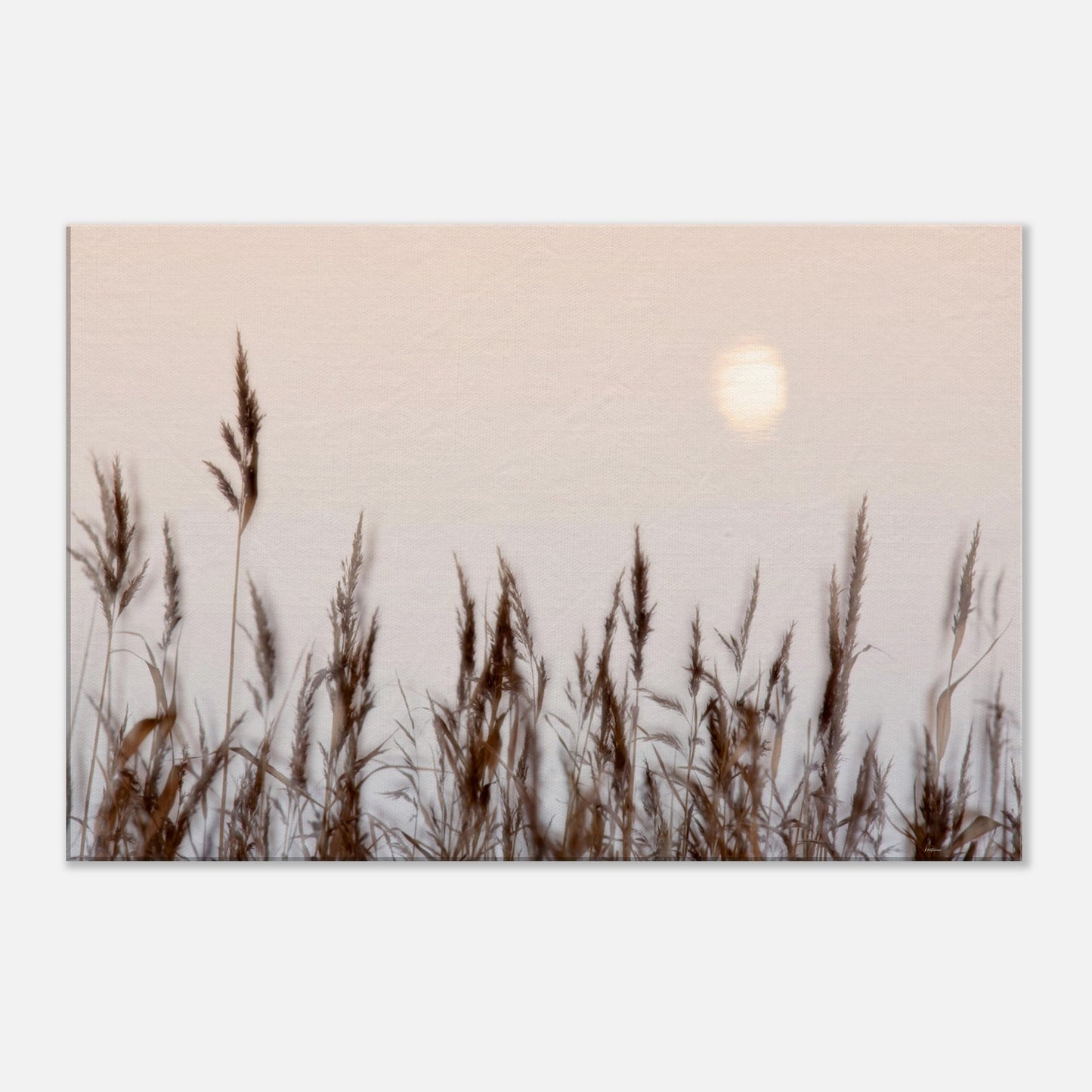 1d6344a7-eb12-47a9-a77c-c23531728a89