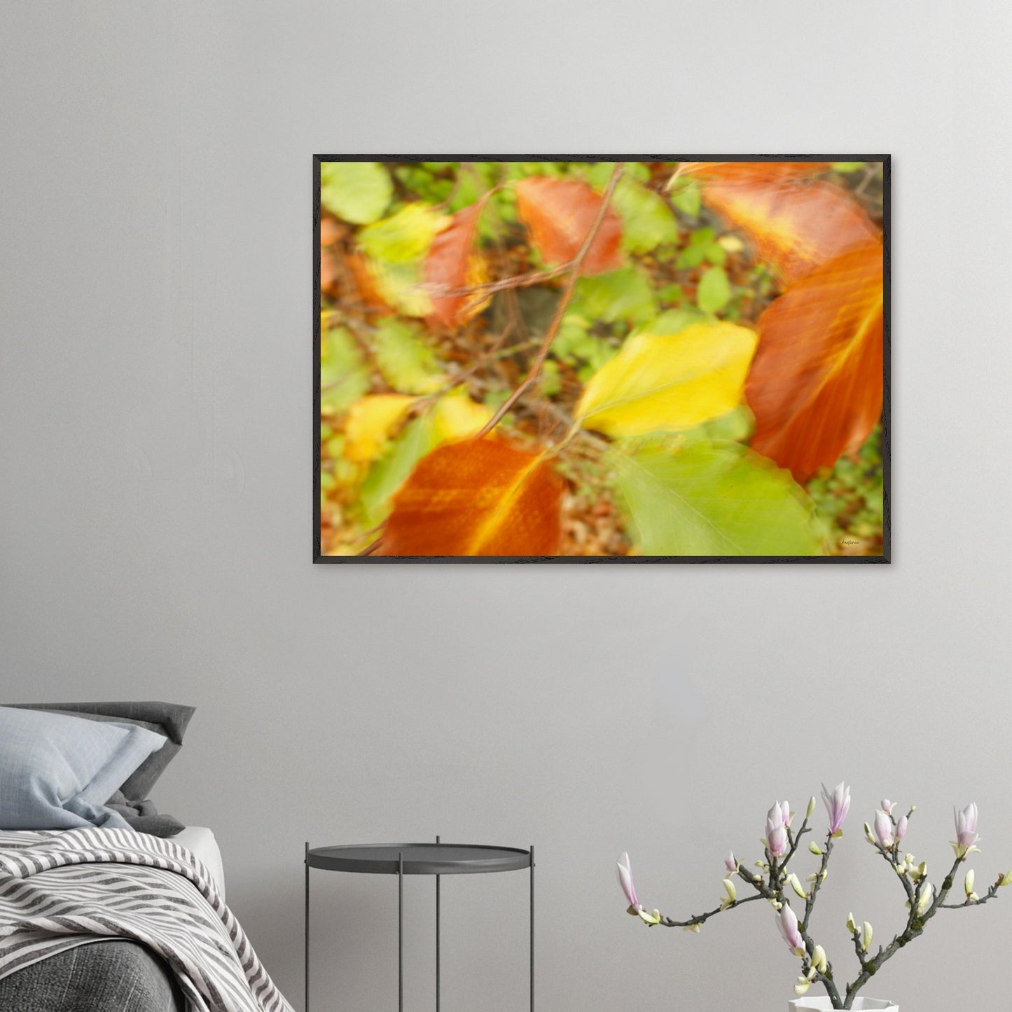 1e81c678-a569-4d7a-8322-bbbcd5895923