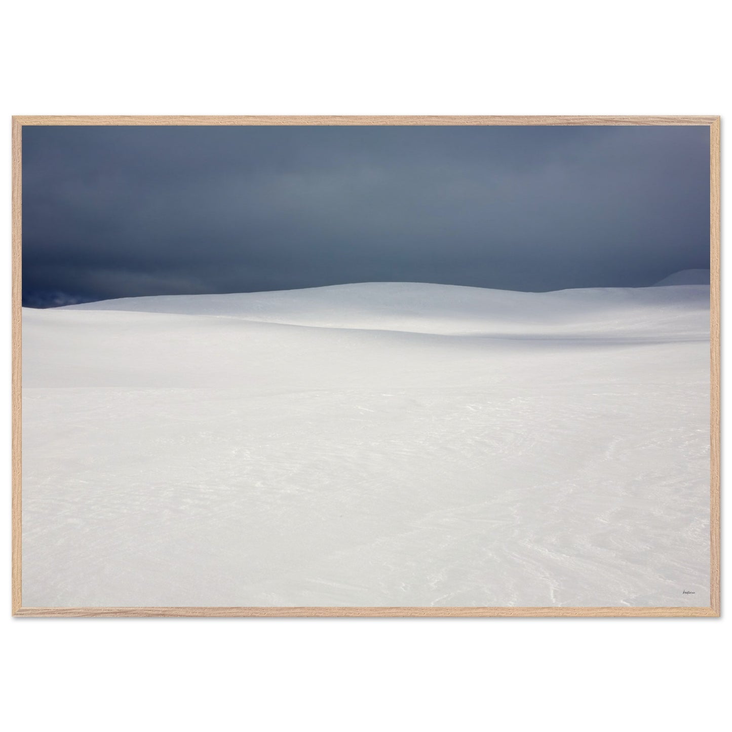 1f249f8d-b86d-4f95-8ece-5acc9726f5bd