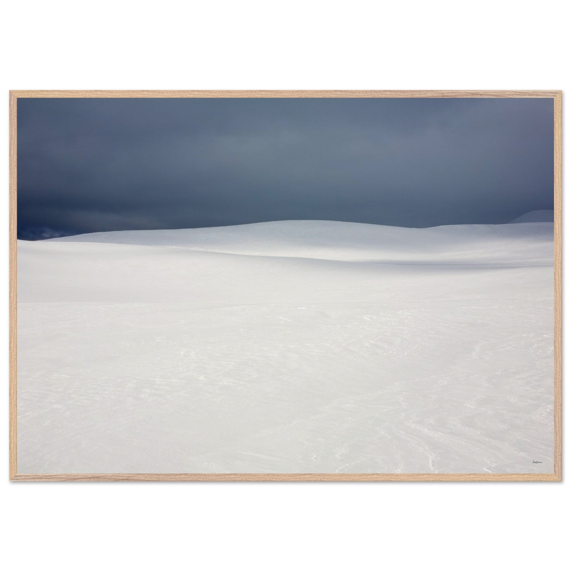 1f249f8d-b86d-4f95-8ece-5acc9726f5bd