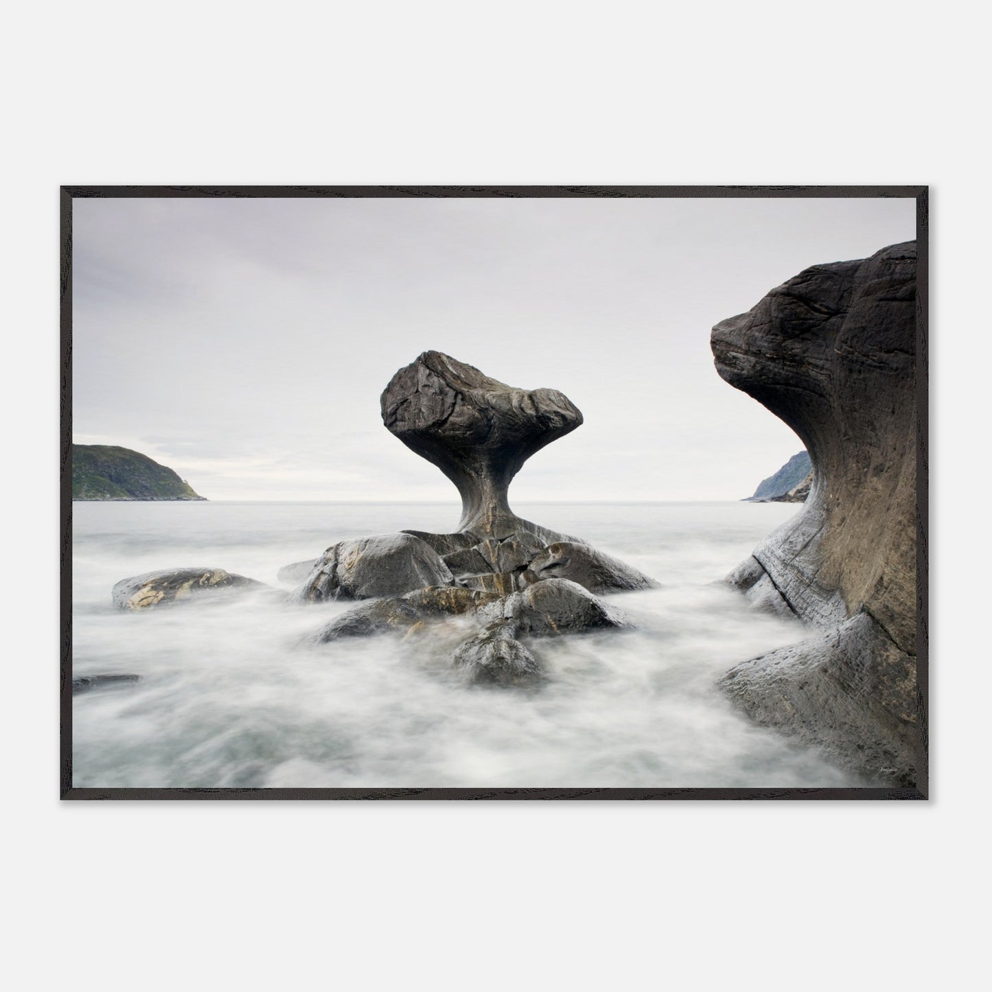 206d31b7-f7b5-414f-a586-41afb74b4edb