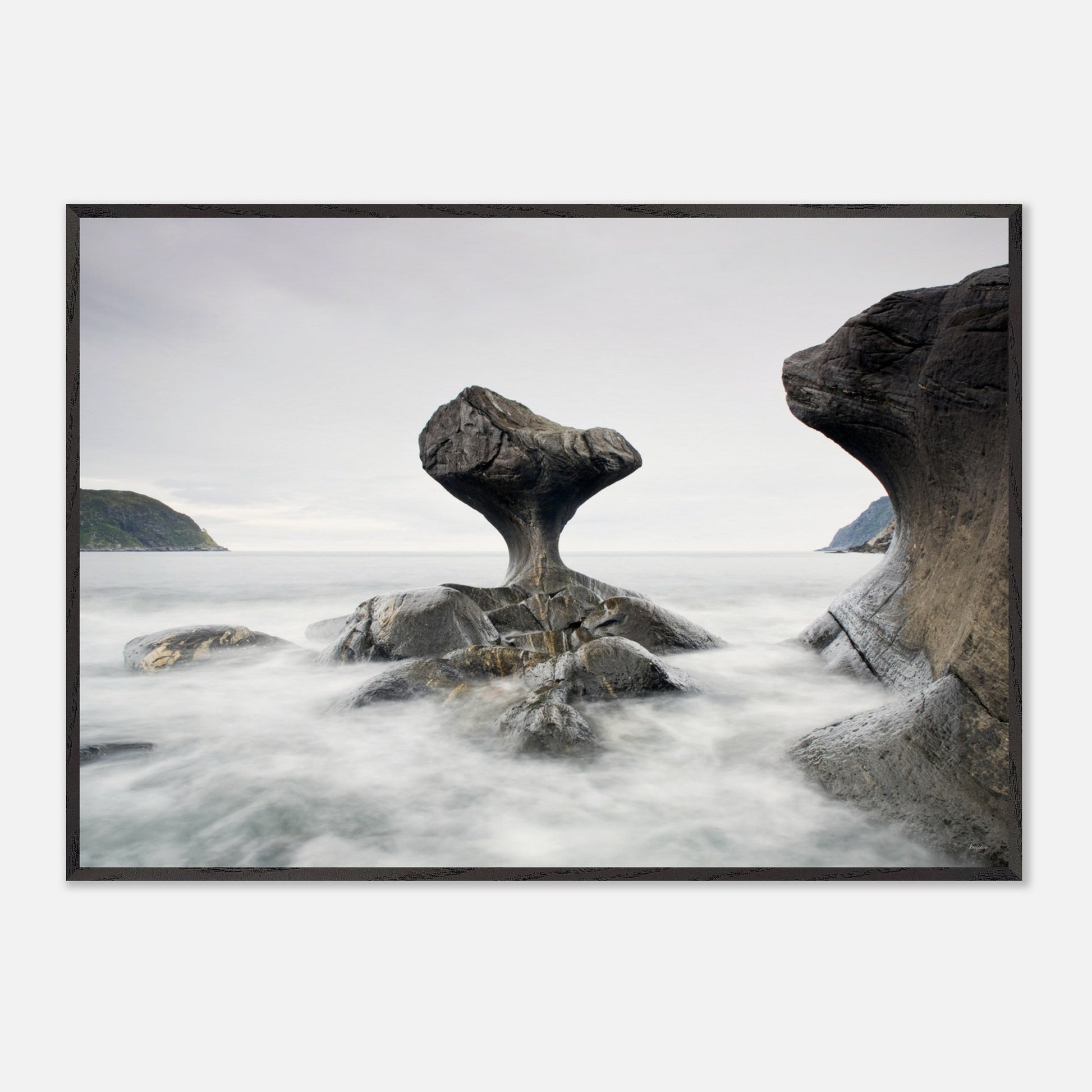 206d31b7-f7b5-414f-a586-41afb74b4edb